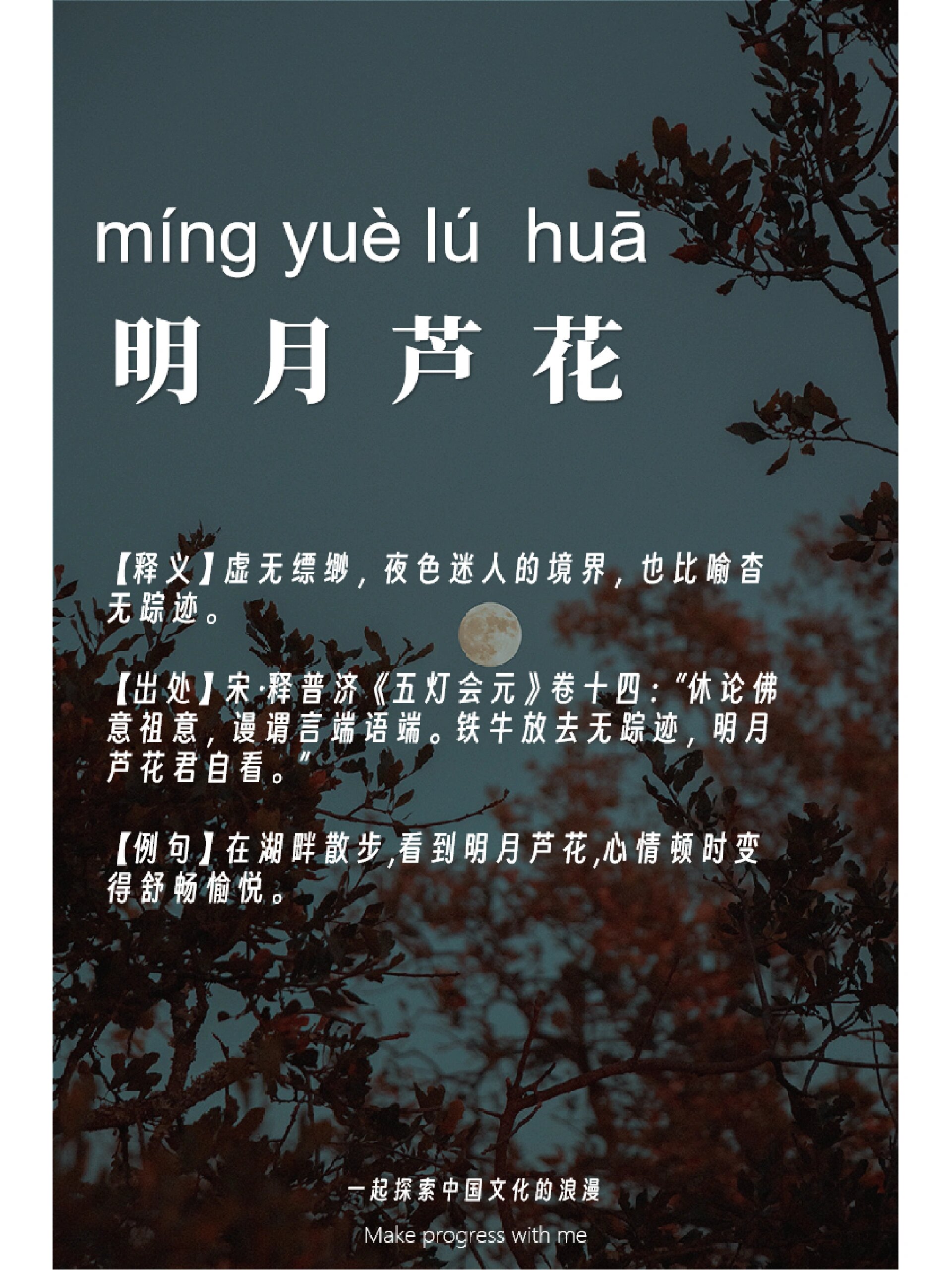 一起探索中国文化的浪漫·成语|明月芦花 明月芦花,拼音是míng