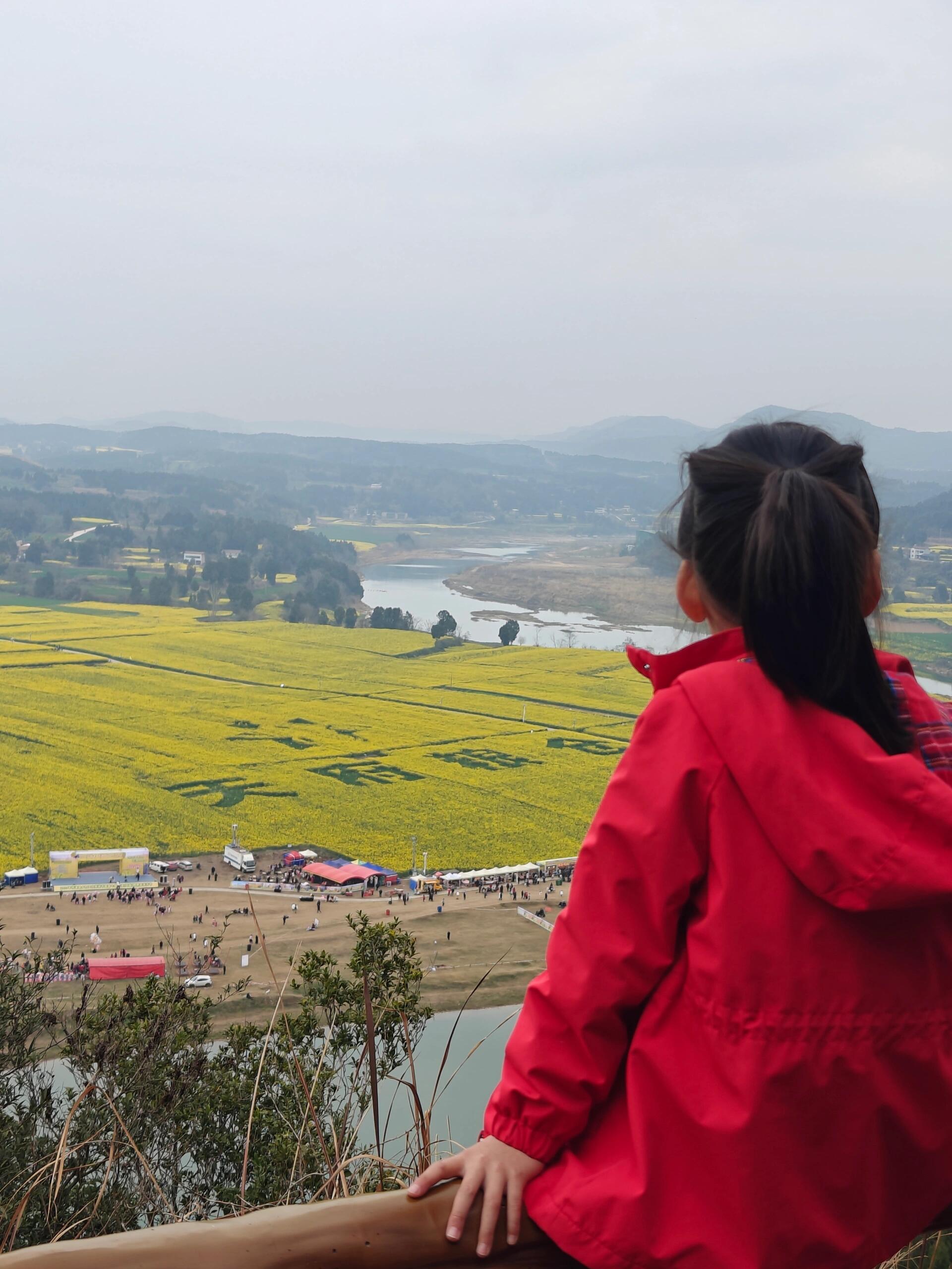 看油菜花去鸭鹤岩