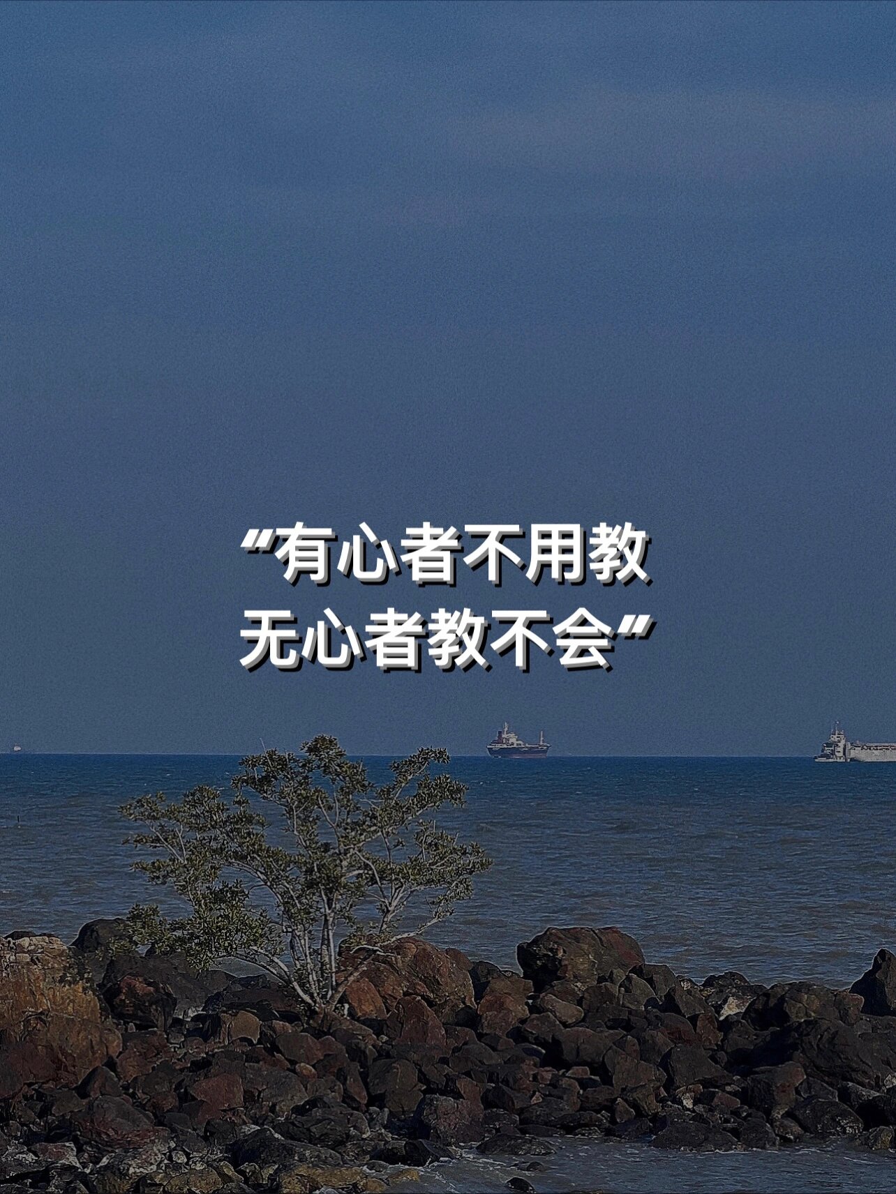 有心者不用教 无心者教不会 对于标题的这句话 你们是怎么看的?