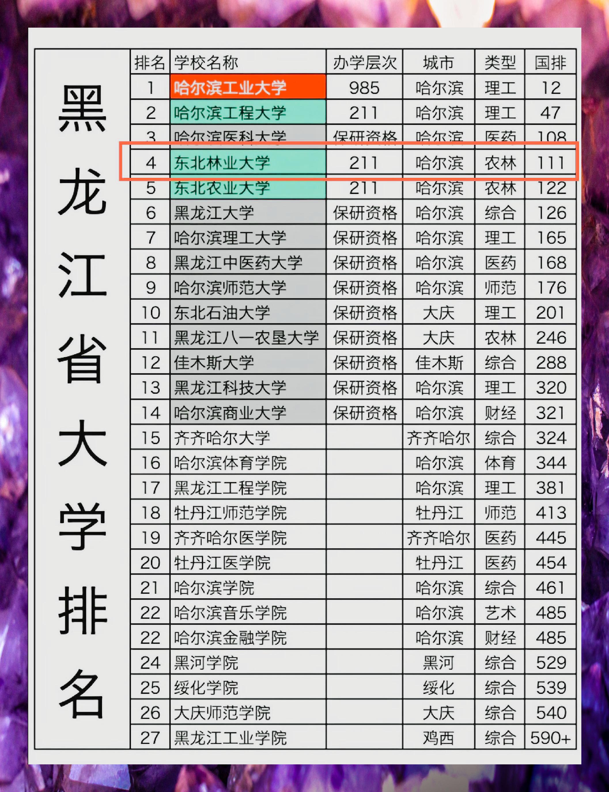 哈尔滨高校名单