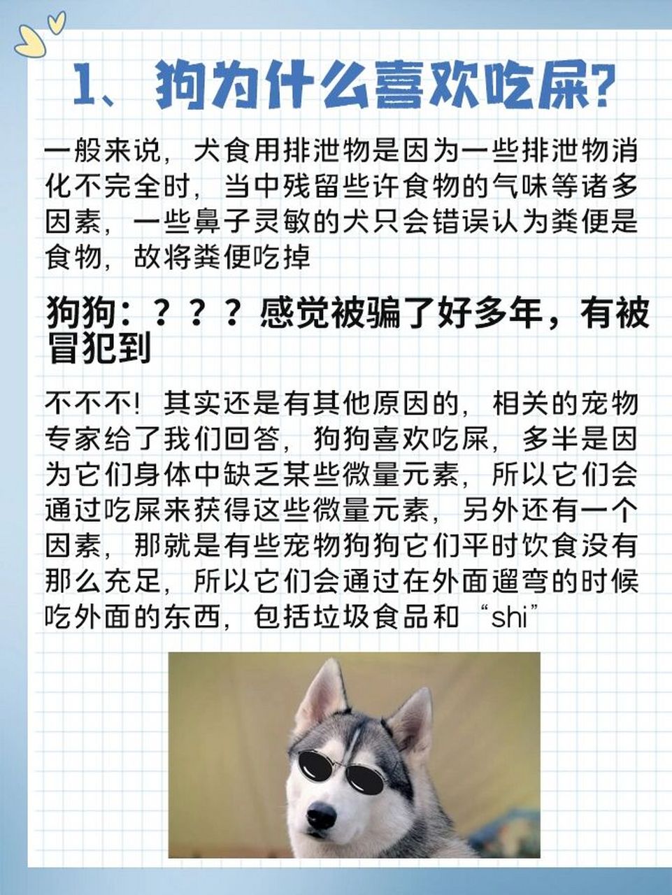 狗为什么喜欢吃屎71狗吃狗屎怎么办7215 导读: 一般来说,导致