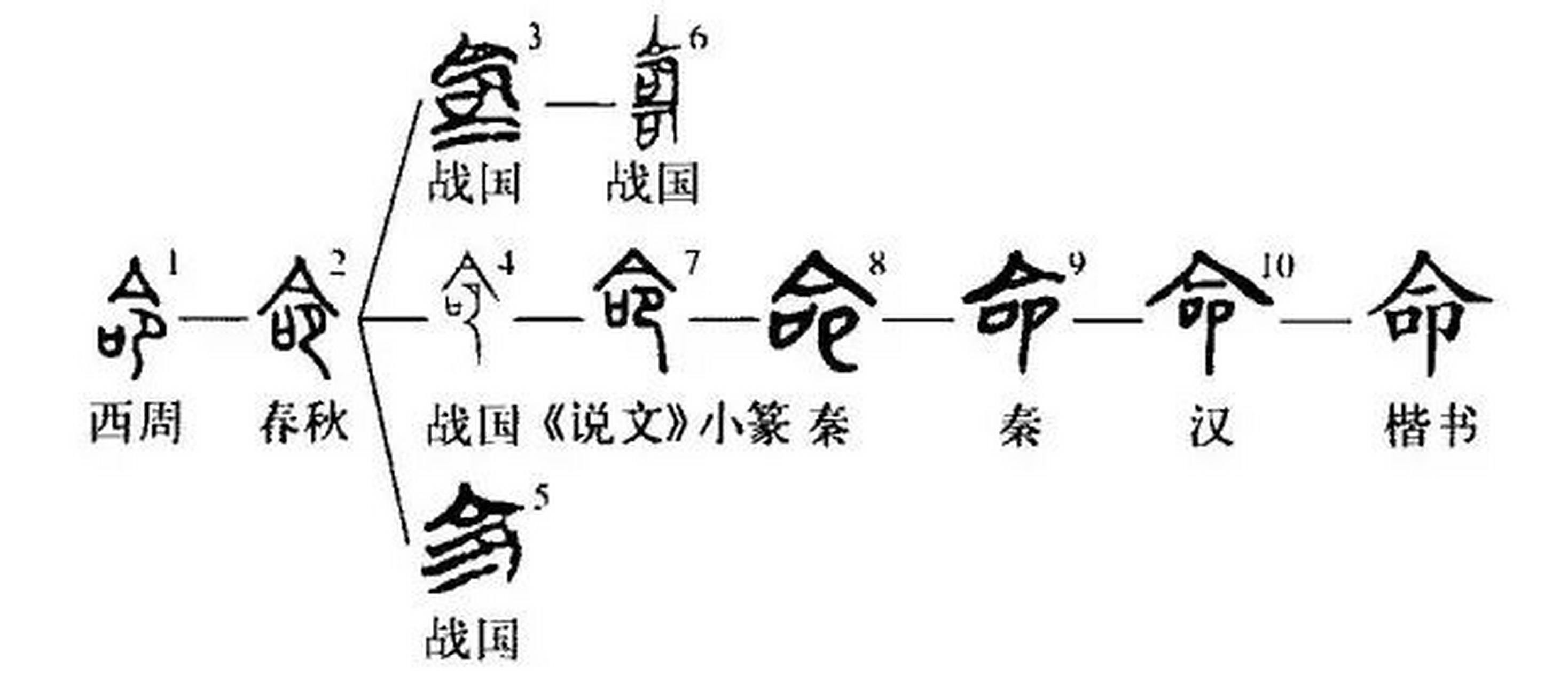 先看这图片,"命"字的来源,从来源中可知.