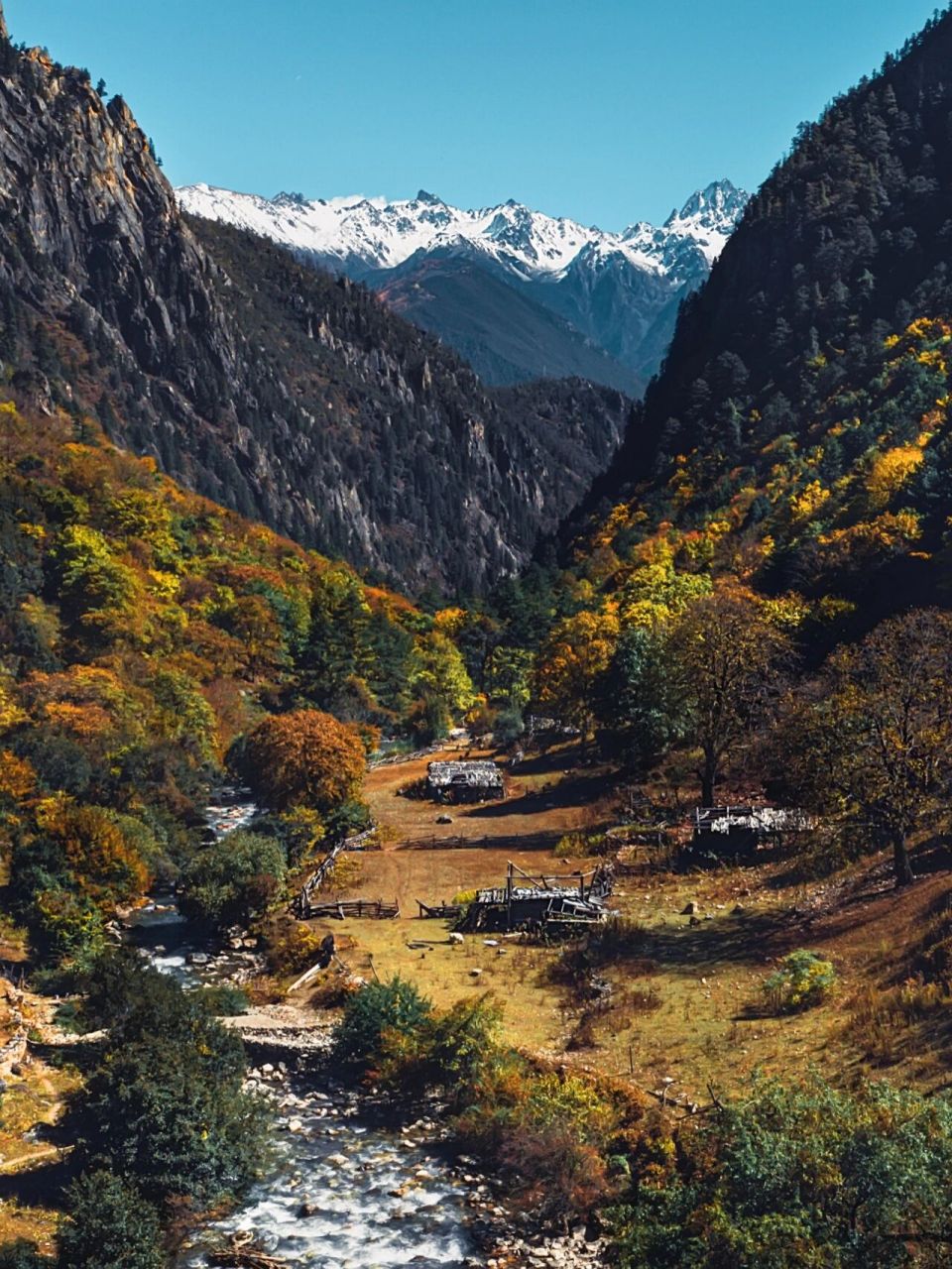 一边是稀石碎块落叶铺就的小路,一边是湍急的峡谷溪流.