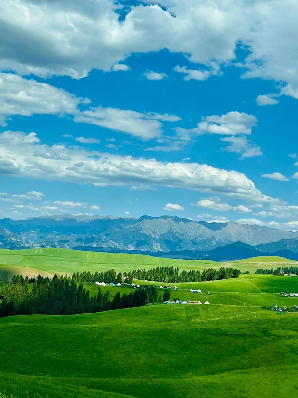 江布拉克大峡谷 你要的美景它都有 雪山9015森林,草原花海,风吹