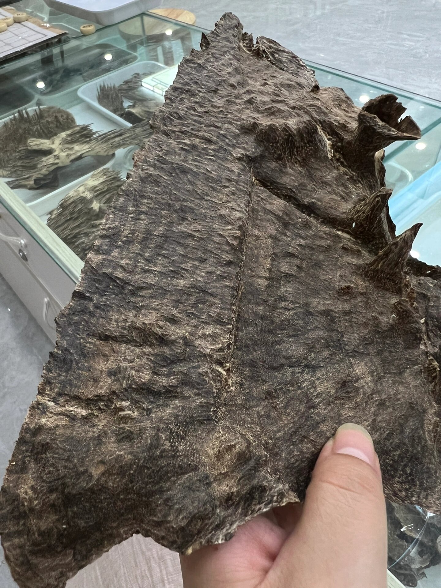 海南野生沉香,冠绝天下75 李时珍在《本草纲目》中为海南沉香的美誉