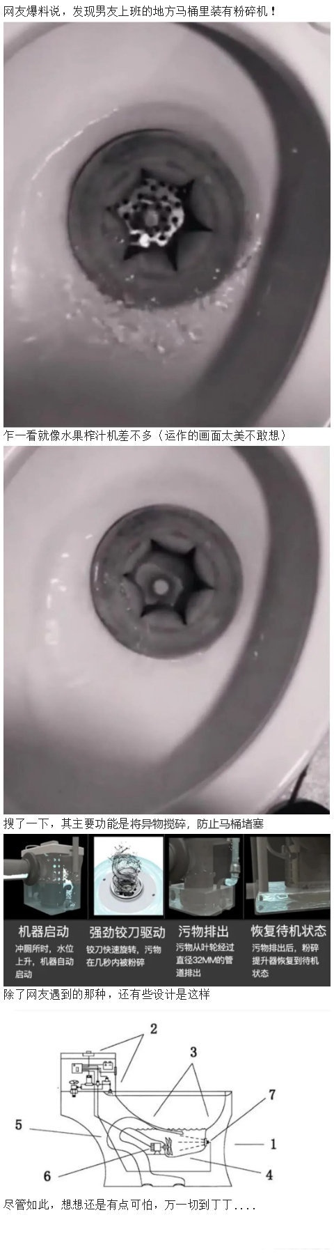 马桶里有粉碎机!画面太美不敢想