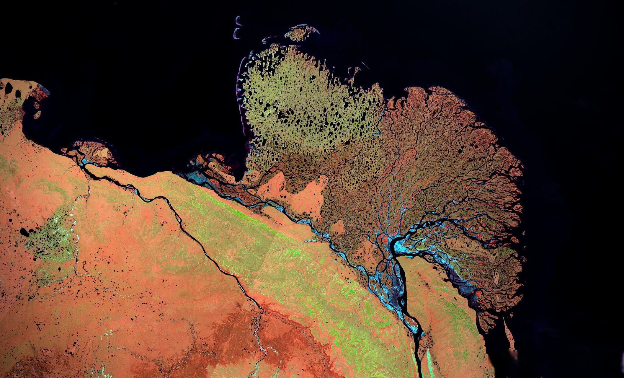 勒拿河三角洲-2023年夏