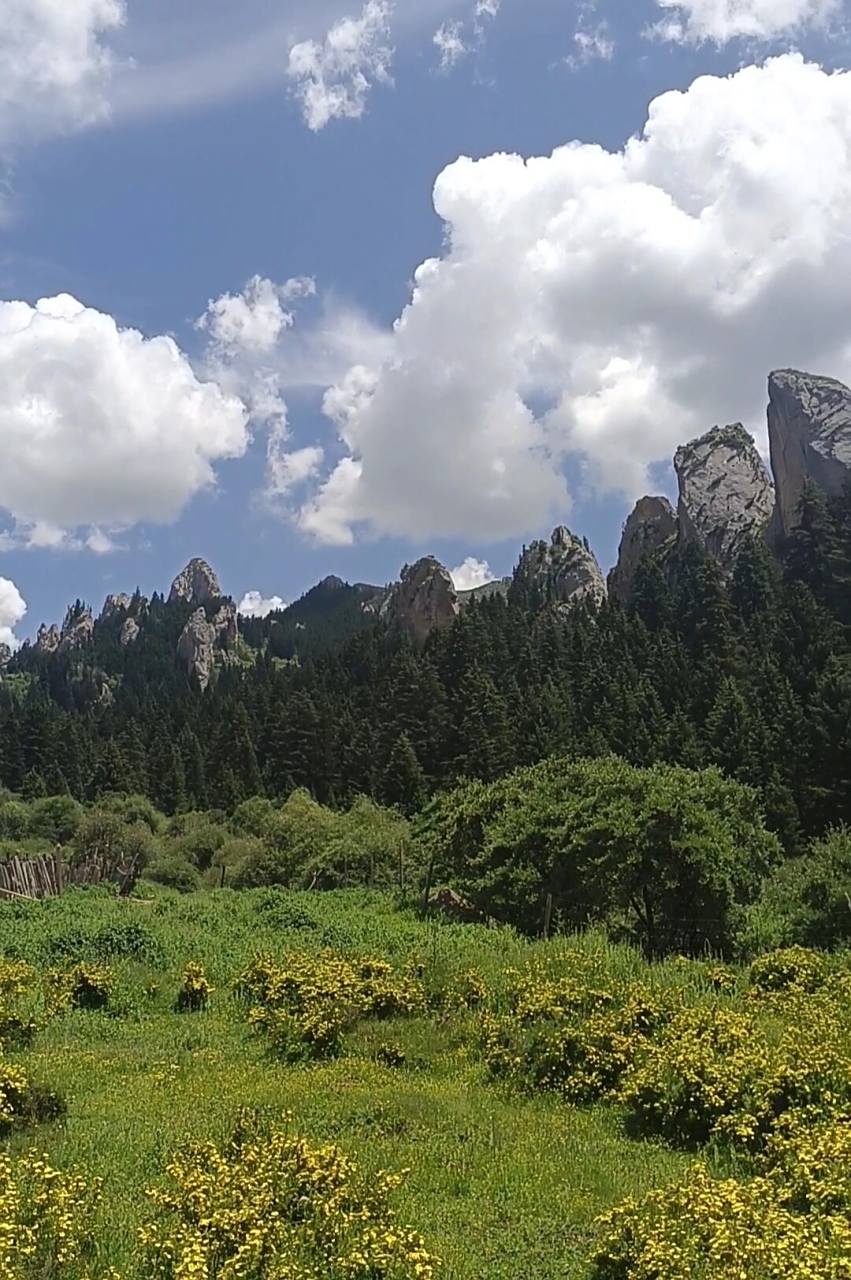 则岔石林,甘南旅游最不能错过的景点 则岔石林位于碌曲县城东南52公里