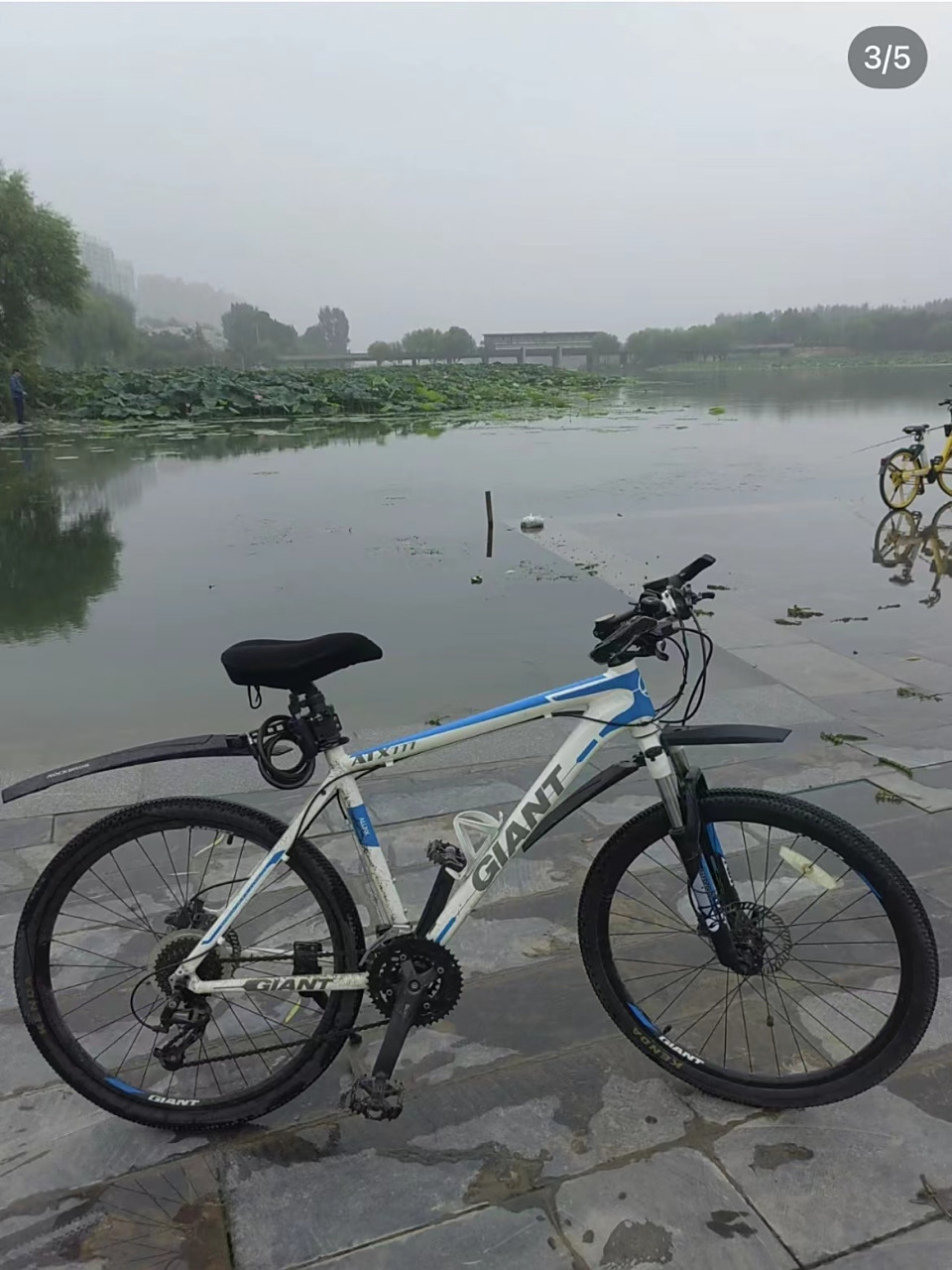 自行车店转行了,剩下的一批全新捷安特山地车高档自行车低价处理,车子