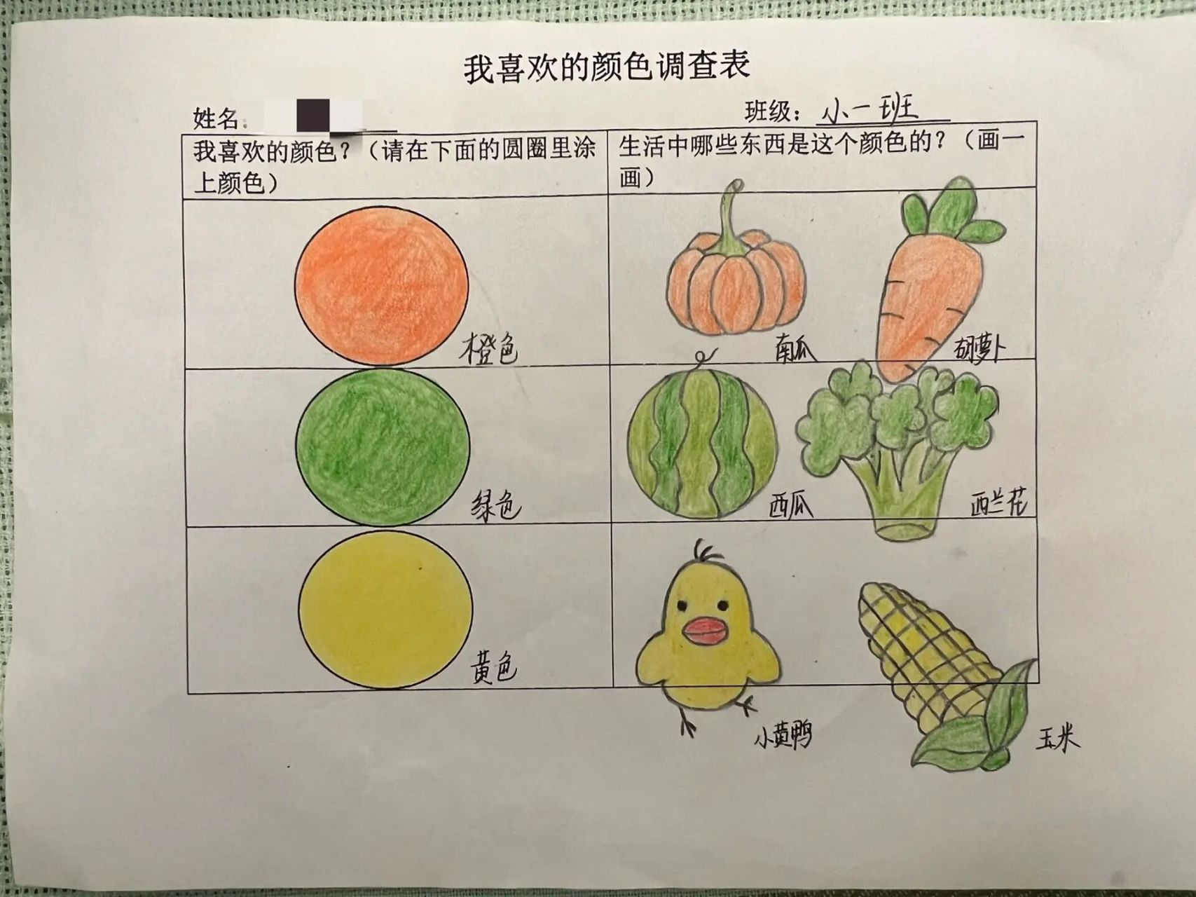 幼儿园小班调查表《我最喜欢的颜色》 新的一周又