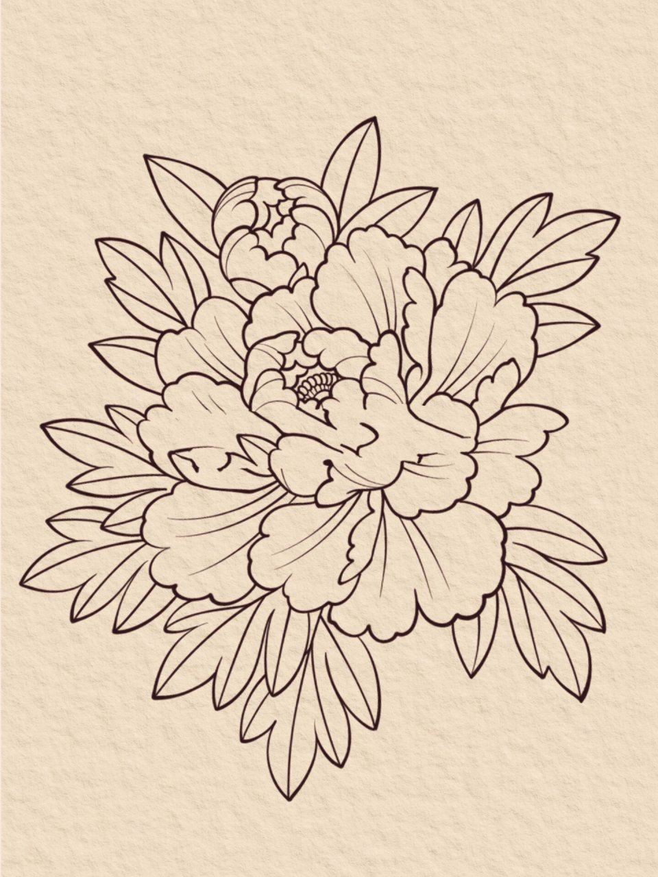 前后花瓣形态宽, 左右花瓣多正反.