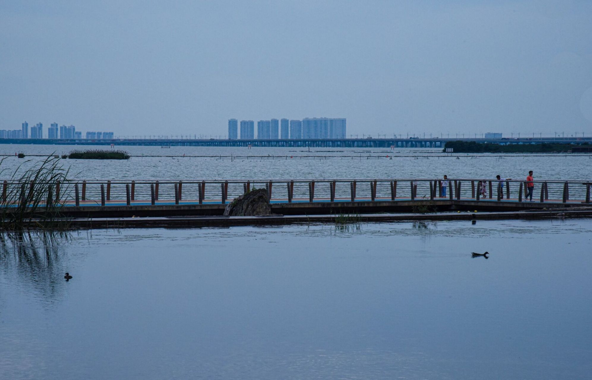 湖畔秀色0469♀15自然原生的西太湖风光 滆湖公园:自然原生的西