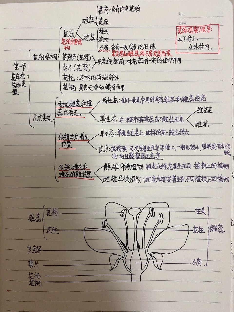 花的组成部分结构图图片