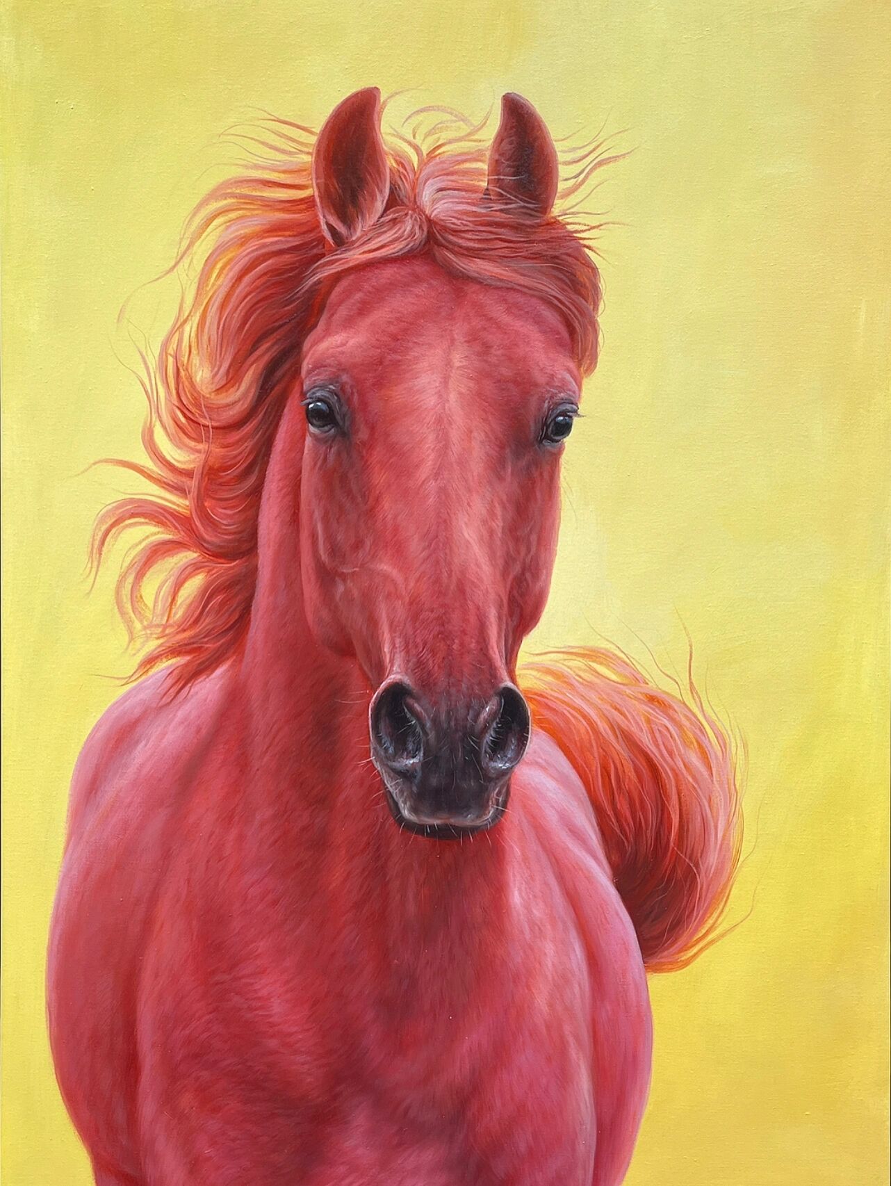 红马(油画作品) 寓意:红红火火,马到成功