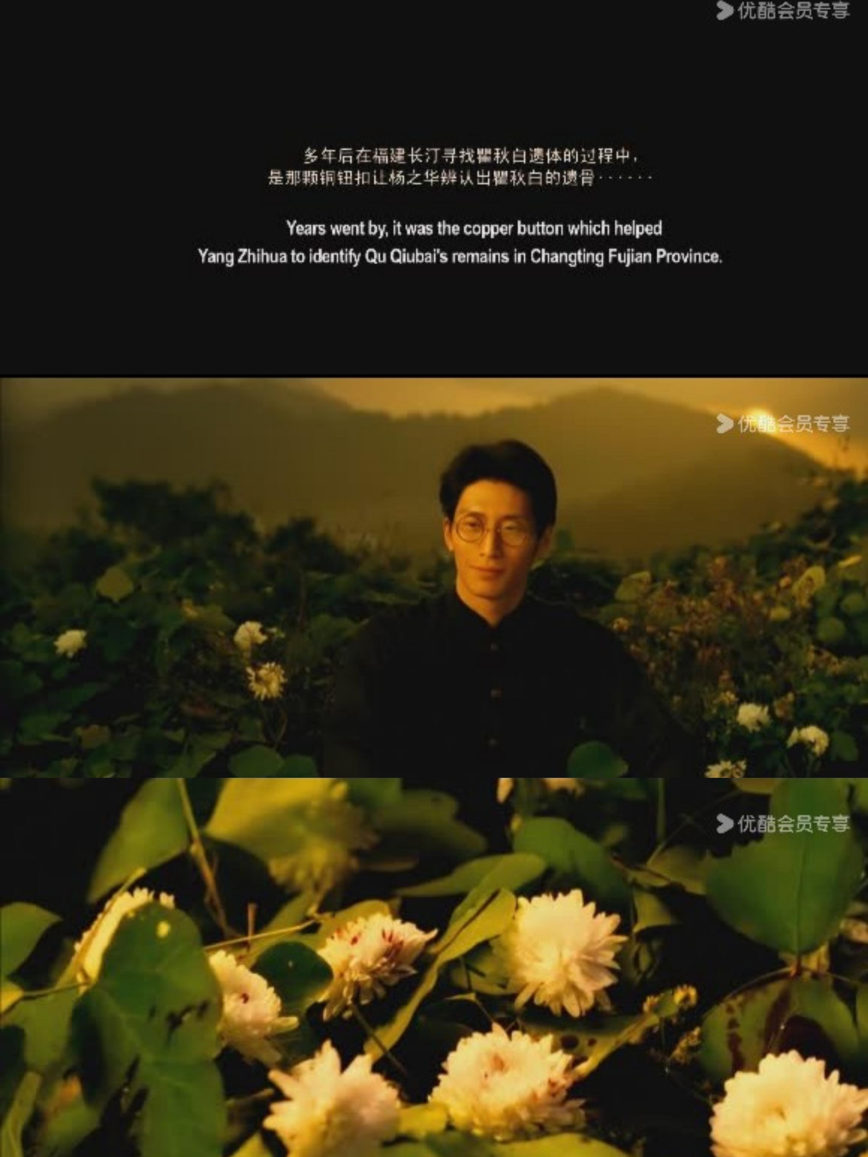 那些年我错过的优秀电影之秋之白华