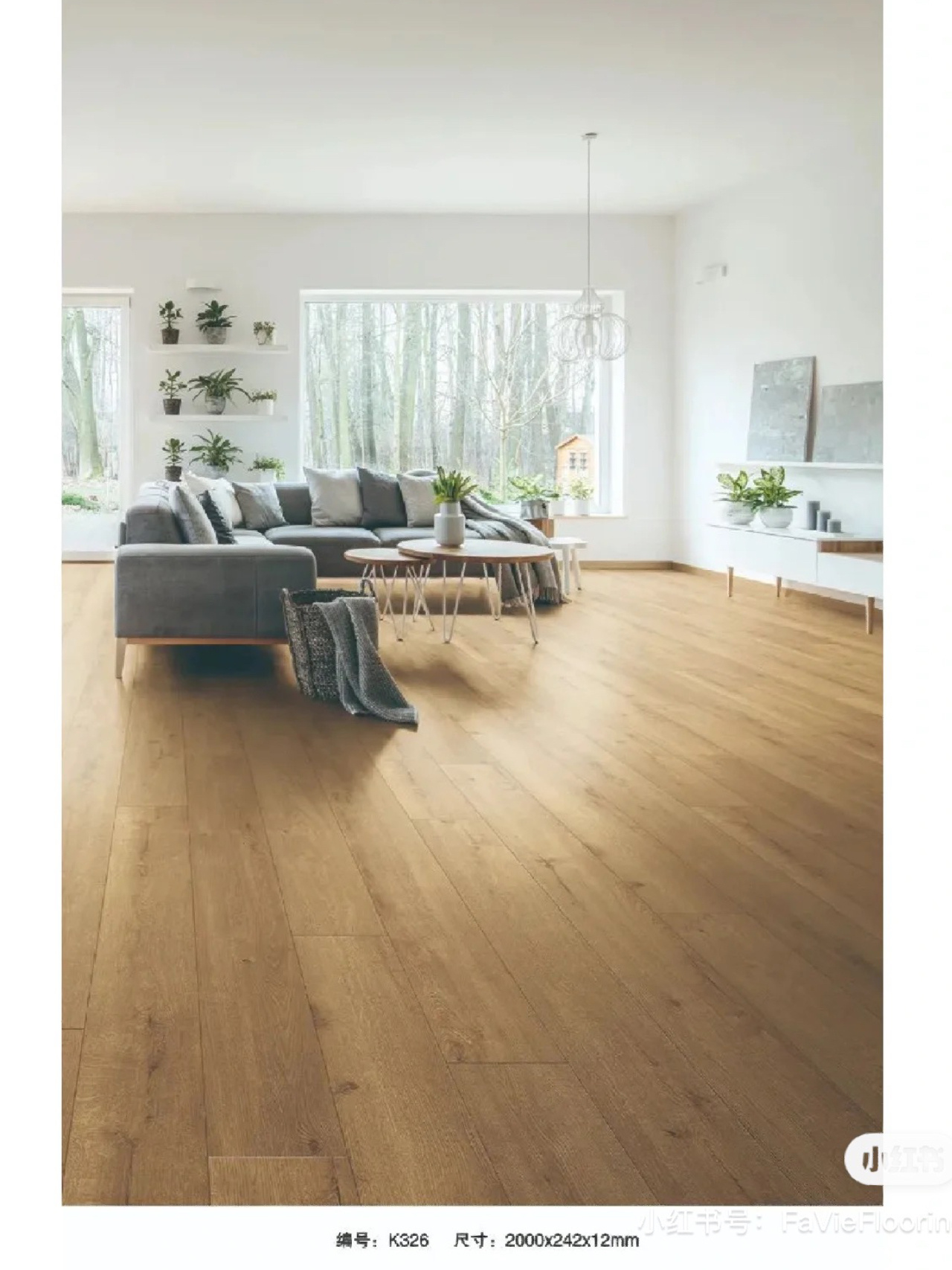 德国柯诺地板krono原装进口地板