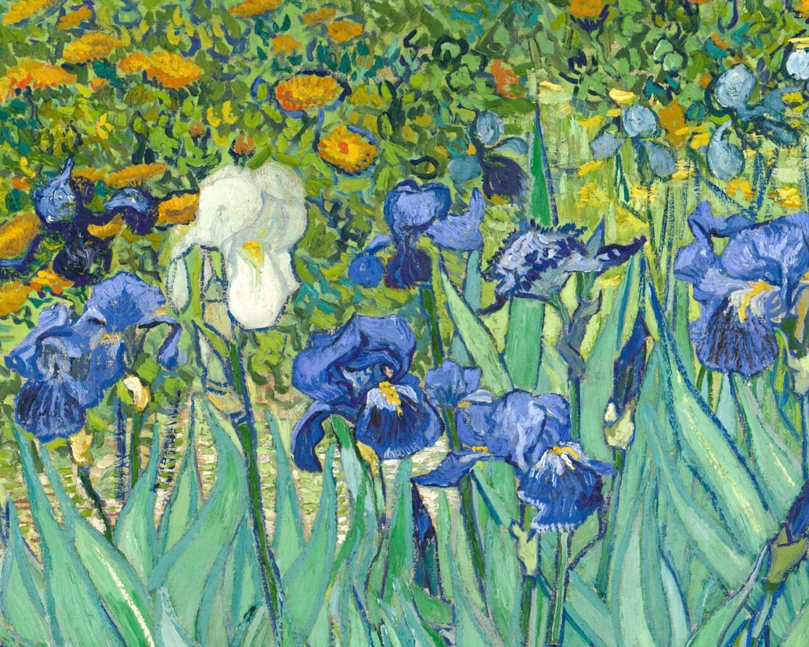 梵高# #鸢尾花# #油画花卉