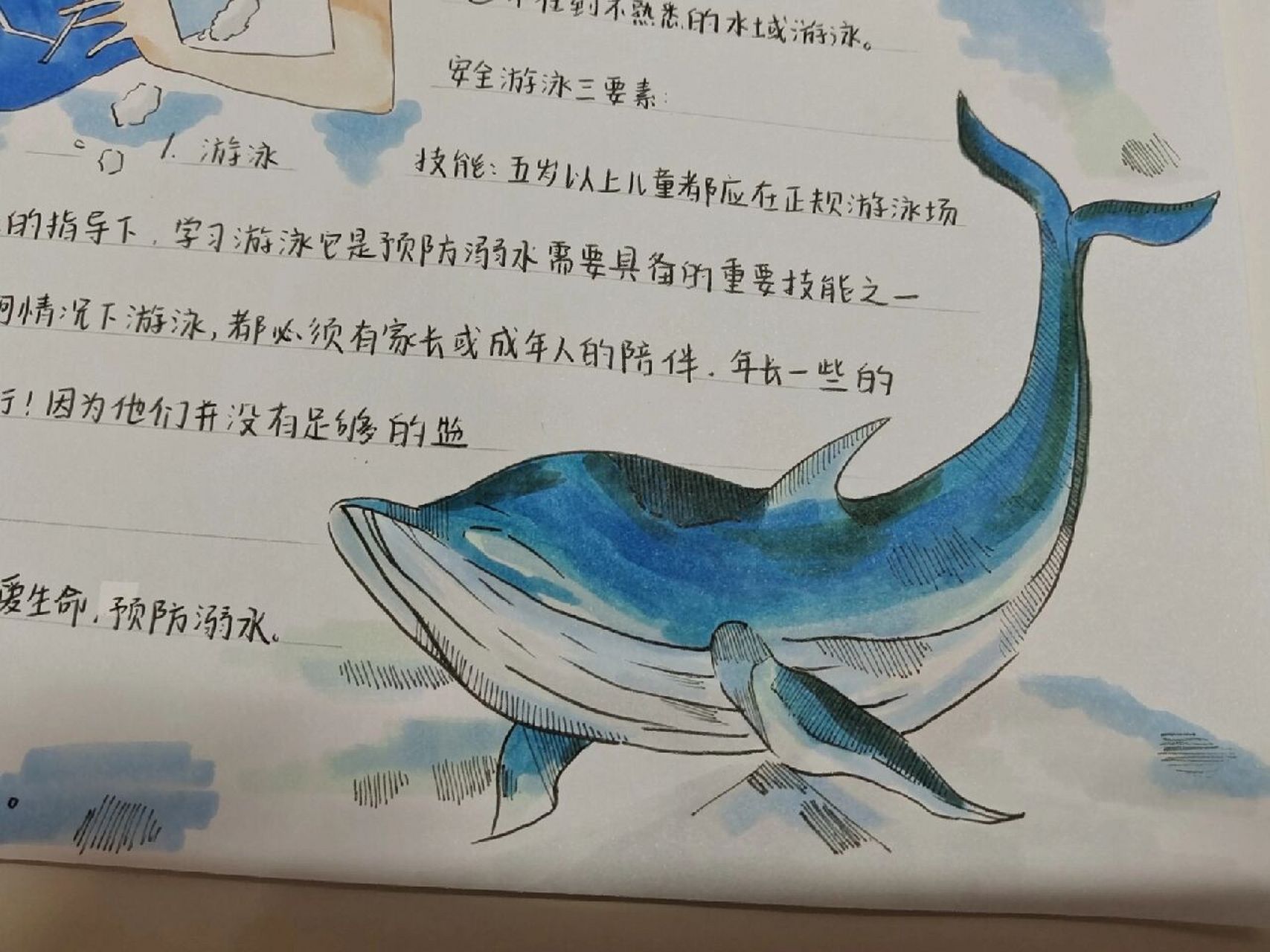 的手抄报,其它的零零散散也是找的素材哦!