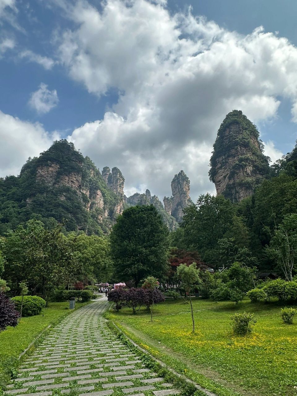 张家界黄石寨金鞭溪旅游攻略 从森林公园南门进去后  先到大氧吧广场