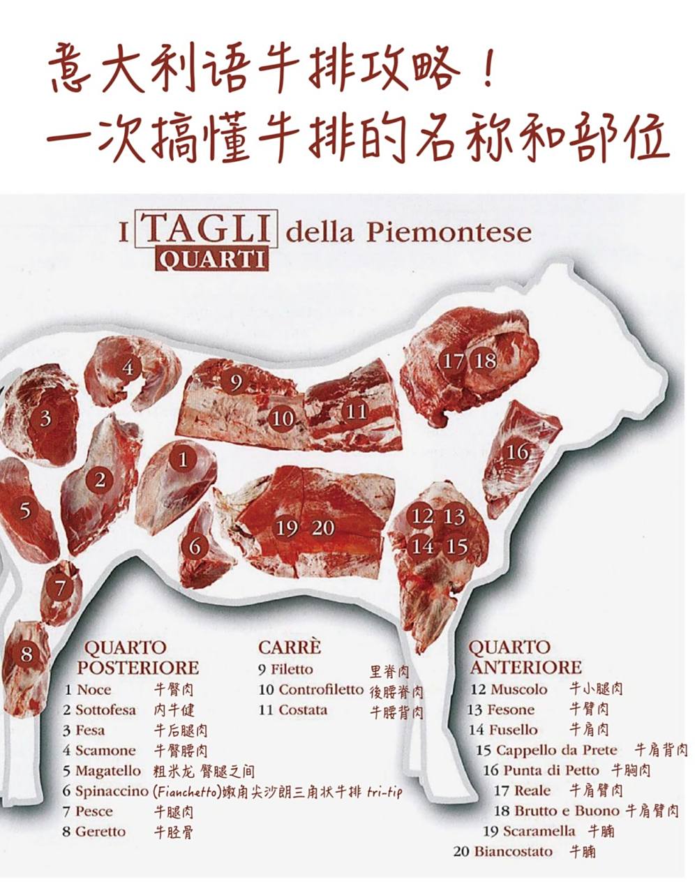 09牛排部位怎么选?