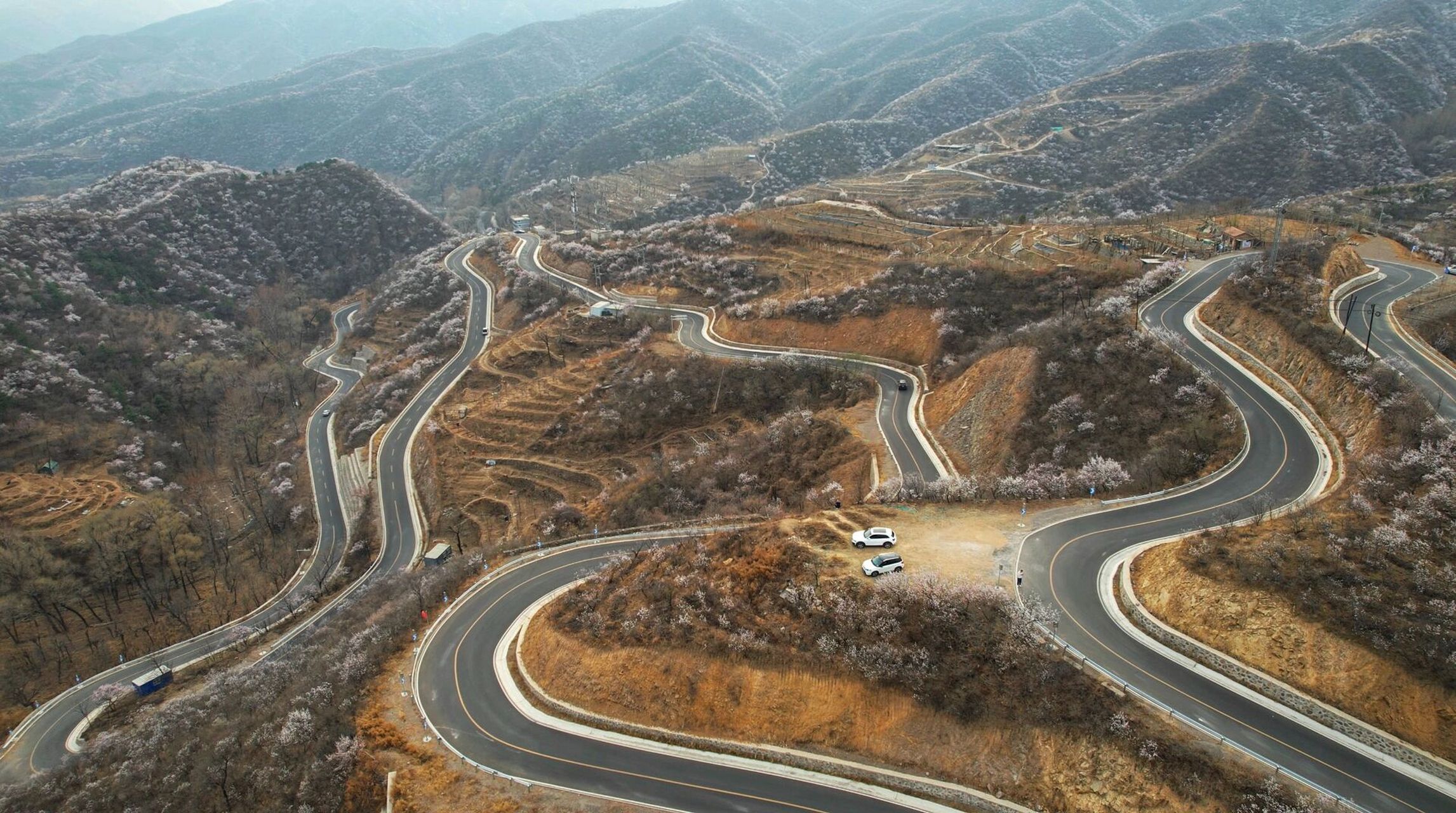 北京"最美乡村公路",山花烂漫正当时        大禅路的春天,山桃花,山