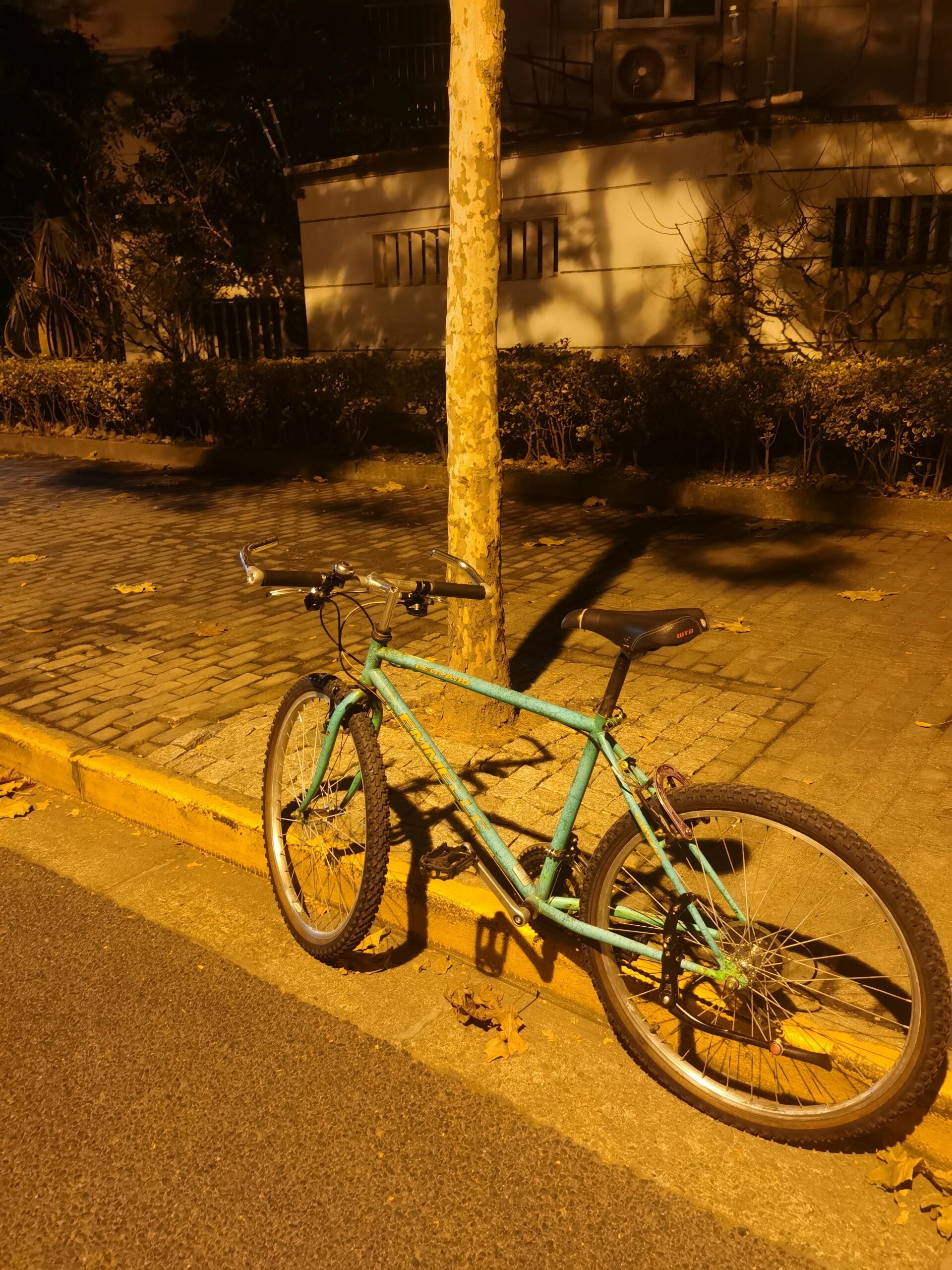 20块的阿米尼钢架山地车