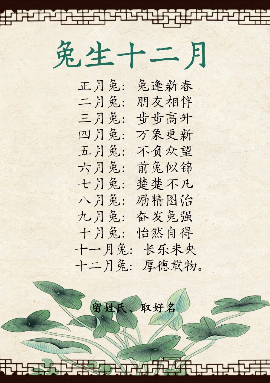 兔年出生的十二生肖运势(兔年出生的十二生肖运势怎么样)