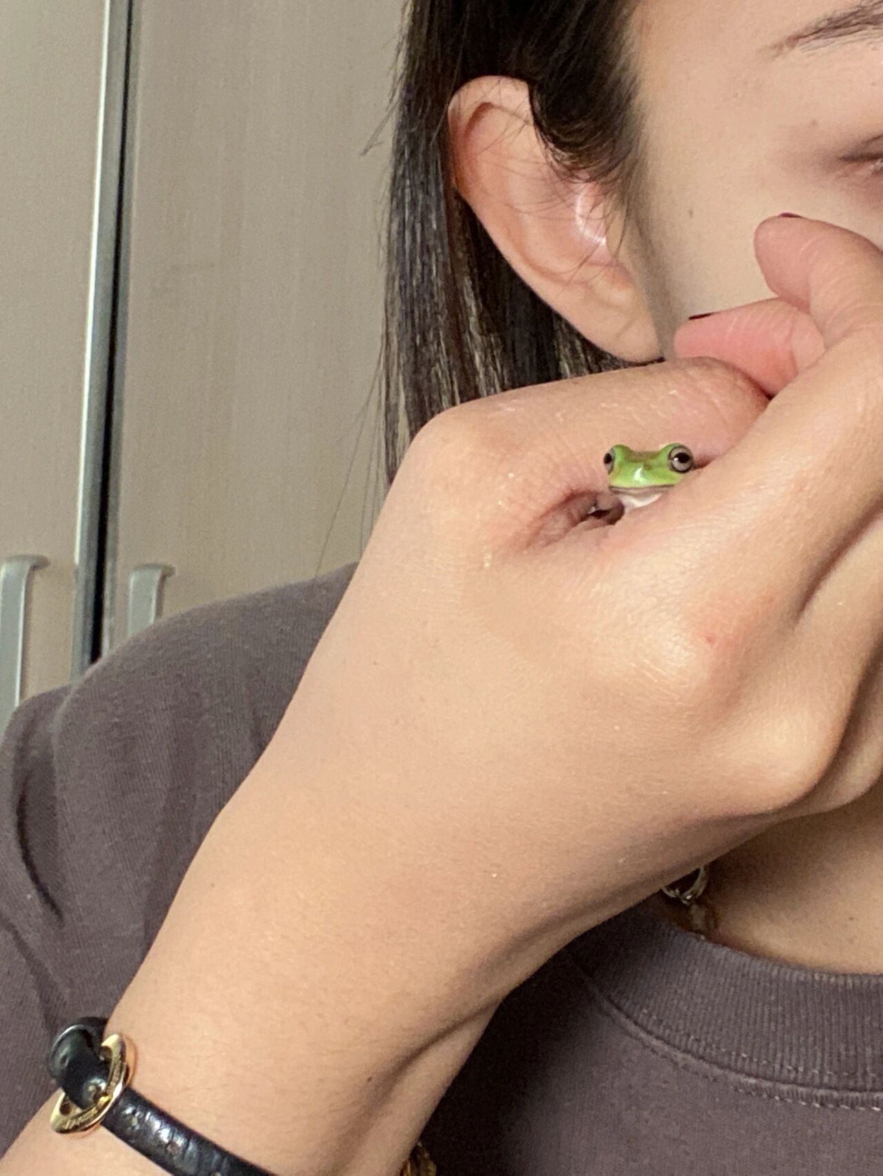 超级迷你小树蛙,我还是少让他上手吧! 今天真的没忍住