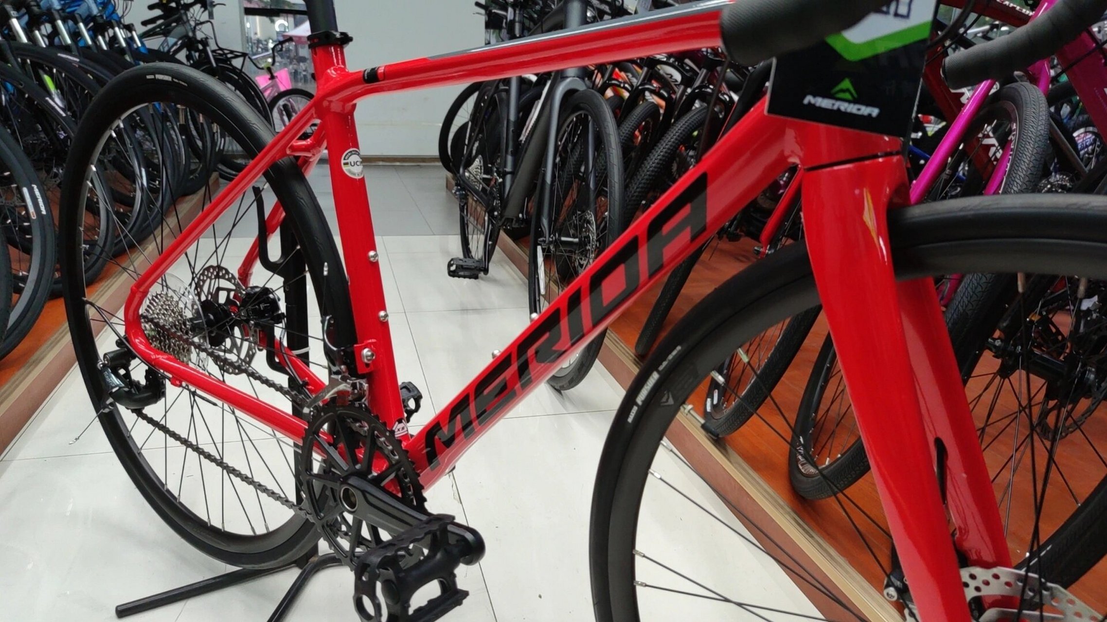 美利达斯特拉king碟刹版 #想记录斯特拉碟刹版的king#  47码的红