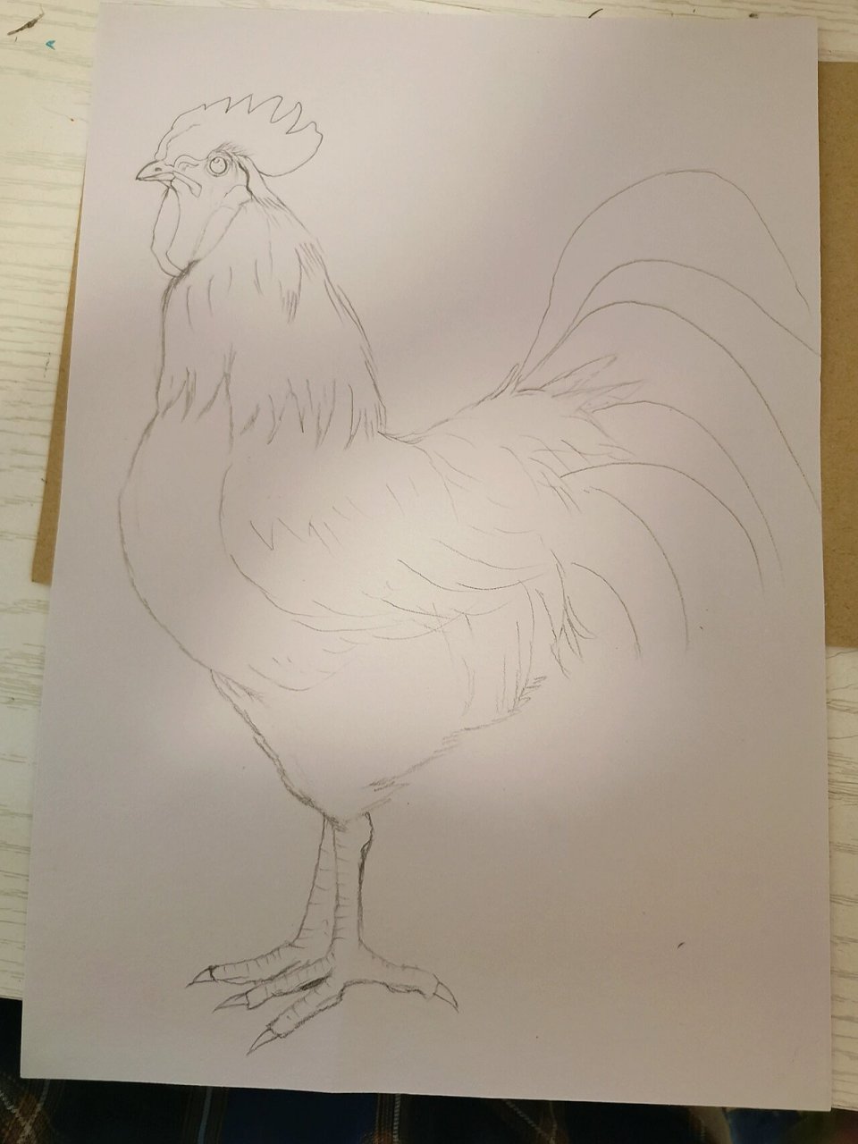 彩铅画|大公鸡(内附详细步骤图) 彩铅笔☞brutfuner 纸☞雪山素描