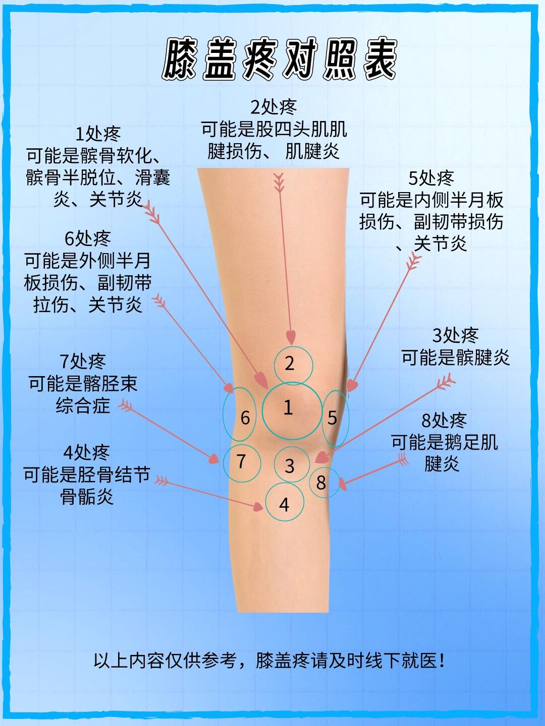 膝盖各个部位名称图解图片