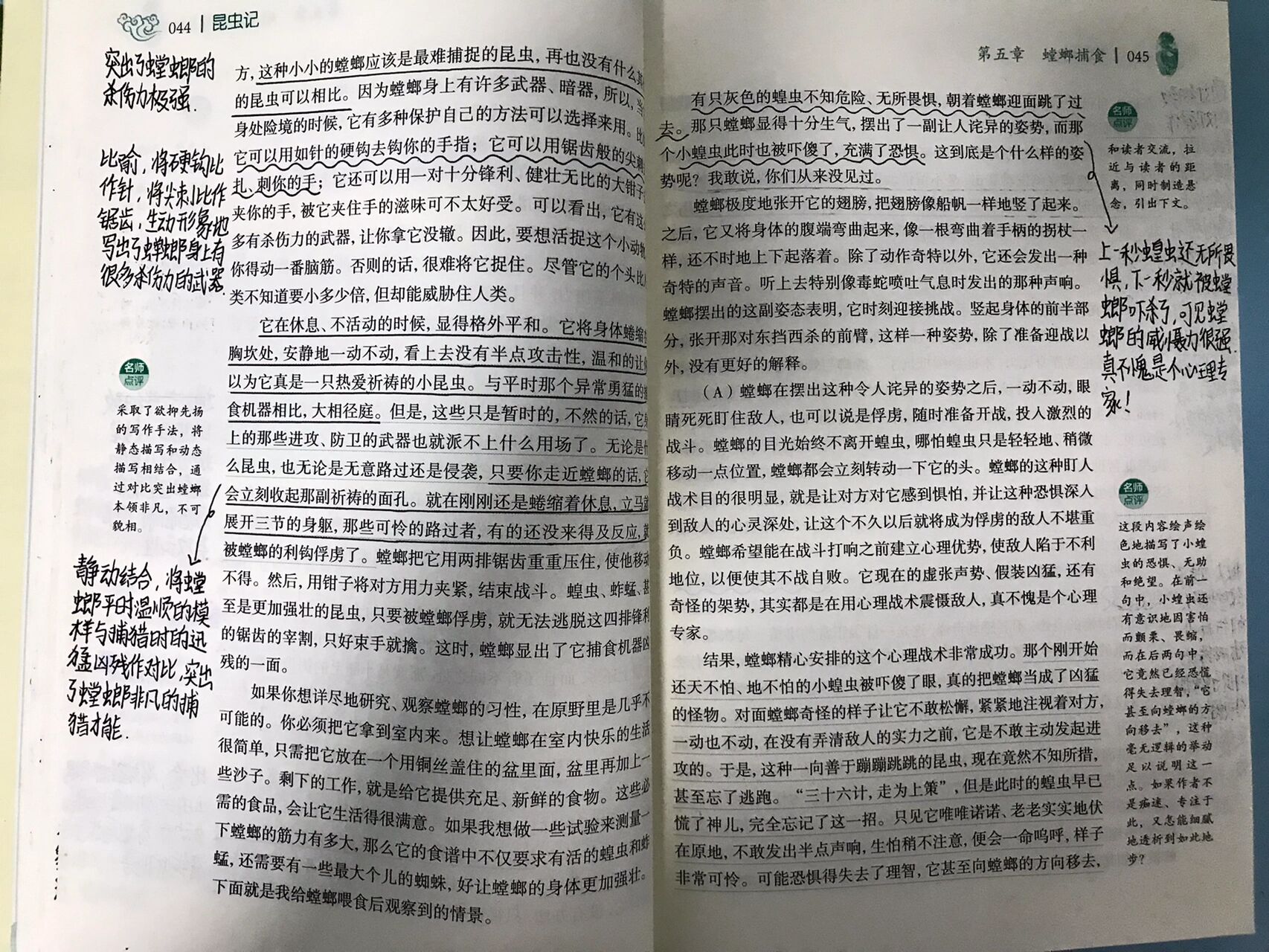 昆虫记第五章《螳螂捕食》批注