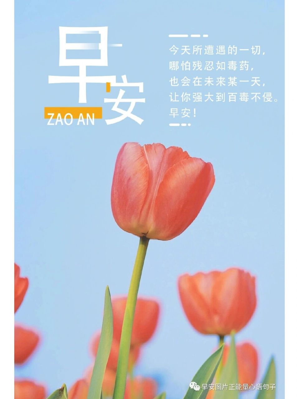 早安励志文案#朋友圈正能量文案 73清晨早安正能量激励人心的好句子