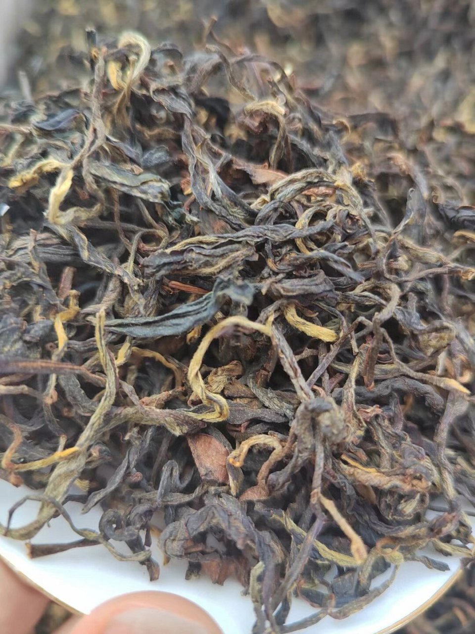 滇红毛峰和滇红的区别,99%的人都踩到的坑!