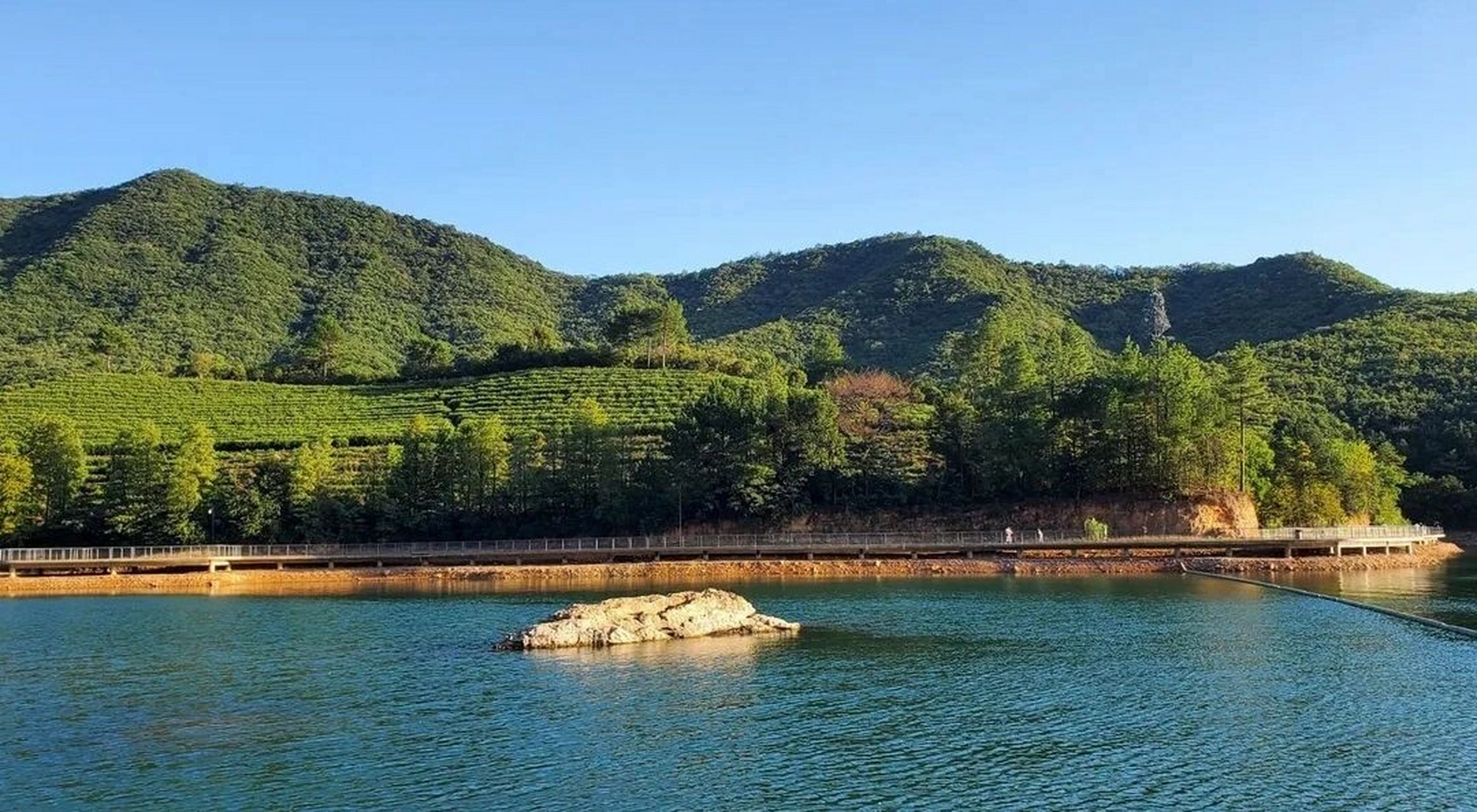 99金华双龙风景旅游区99 	 简介: 95山岳森林,地下悬河,岩溶