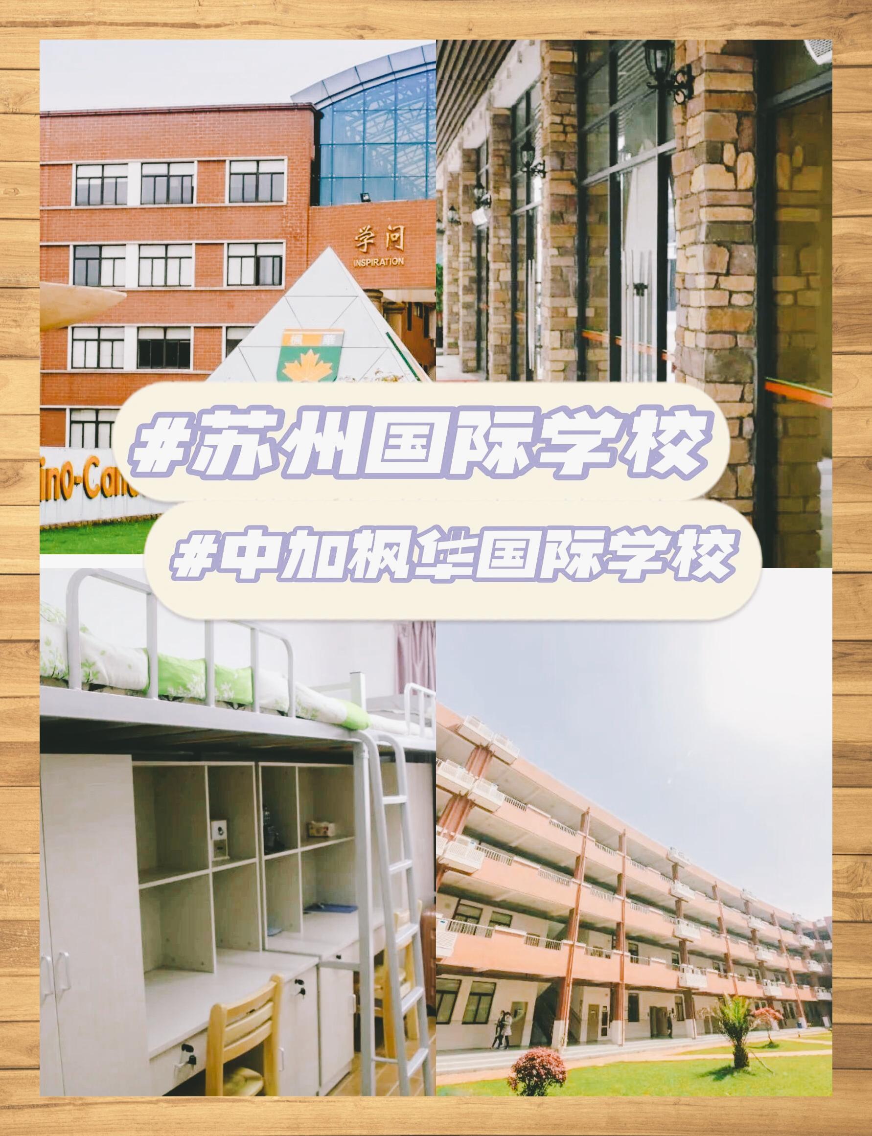 苏州枫华学校校服图片