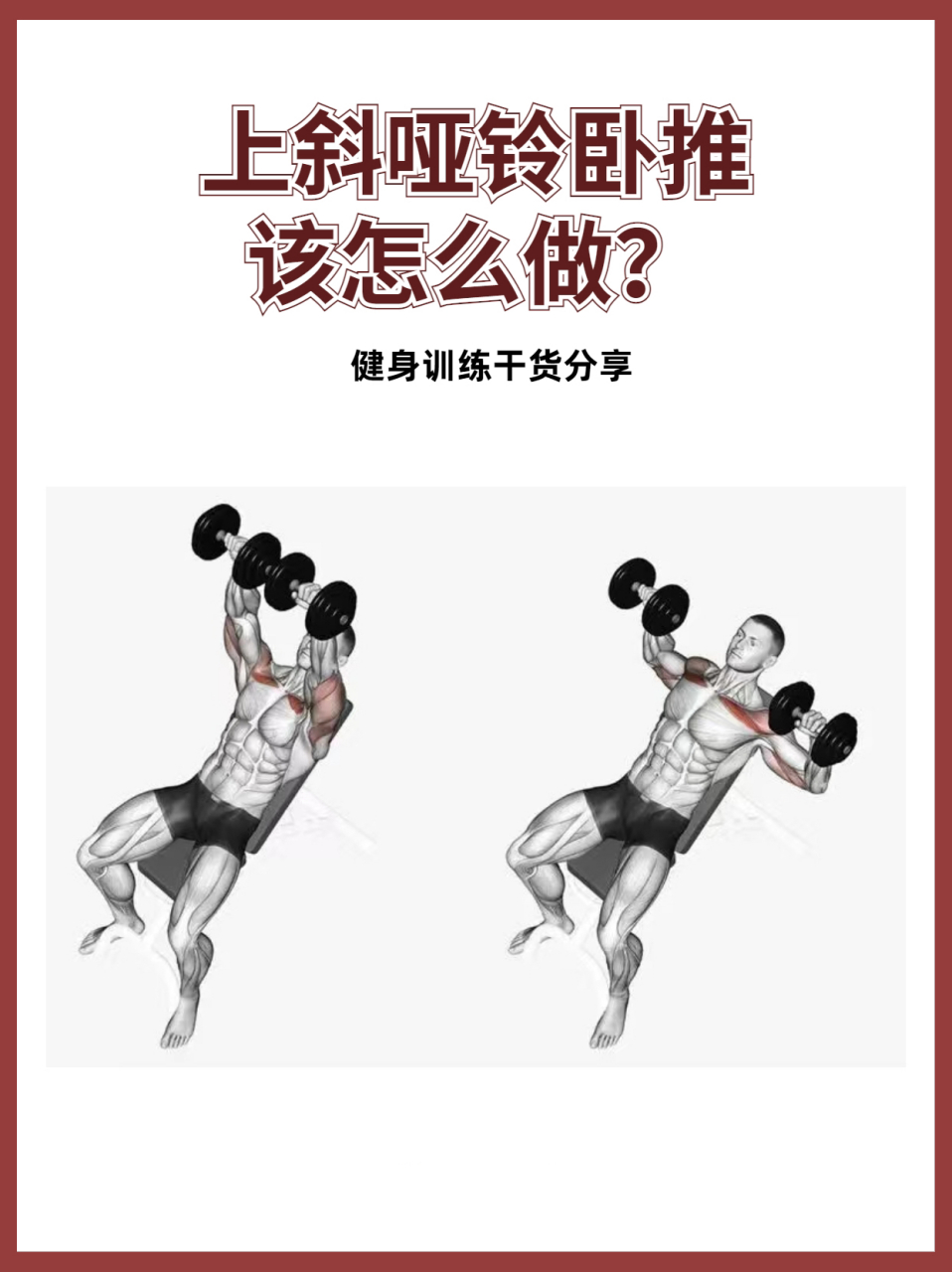 上斜哑铃卧推|只有动作正确了才能练好6015 怎么练71 11566