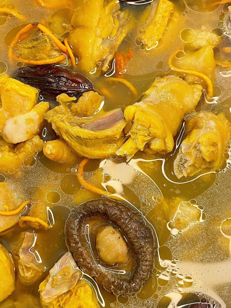 三七鸡汤还能养护脾胃,尤其是上班族打工人总是不好好吃饭,饮食不规律