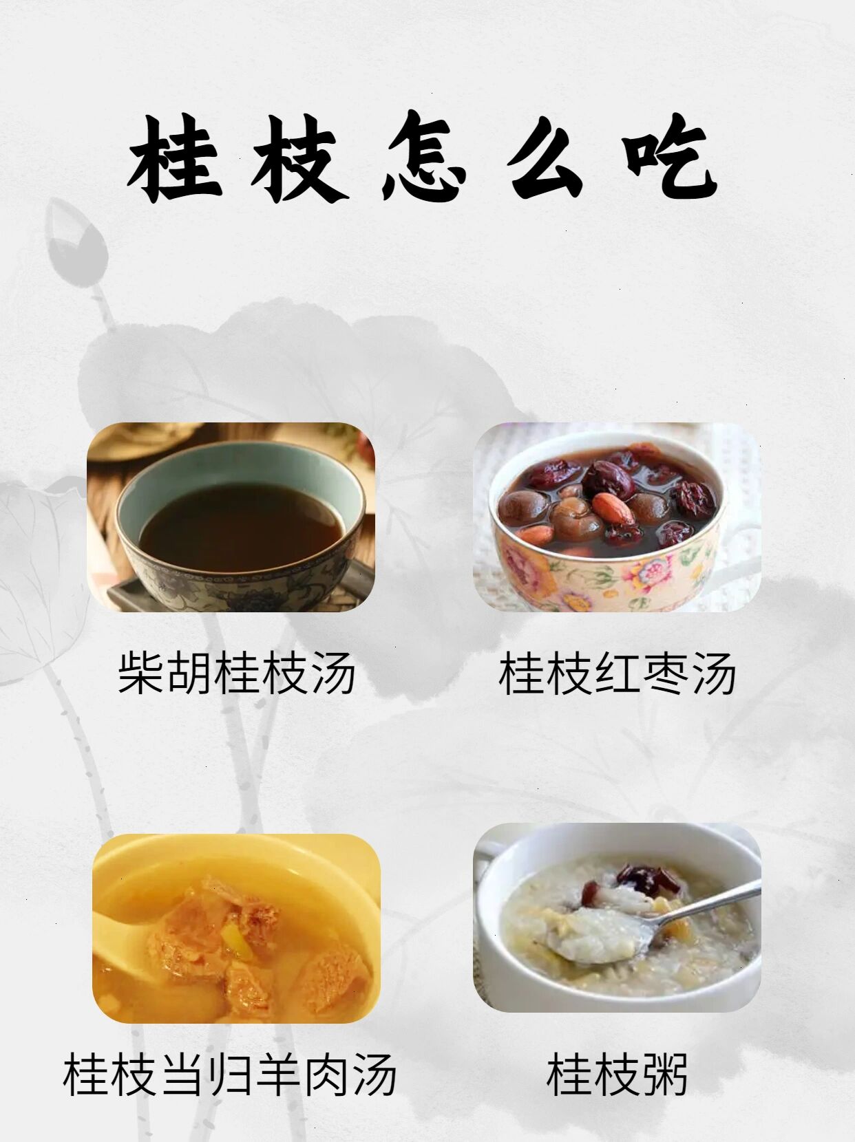 每天认识一味药【桂枝