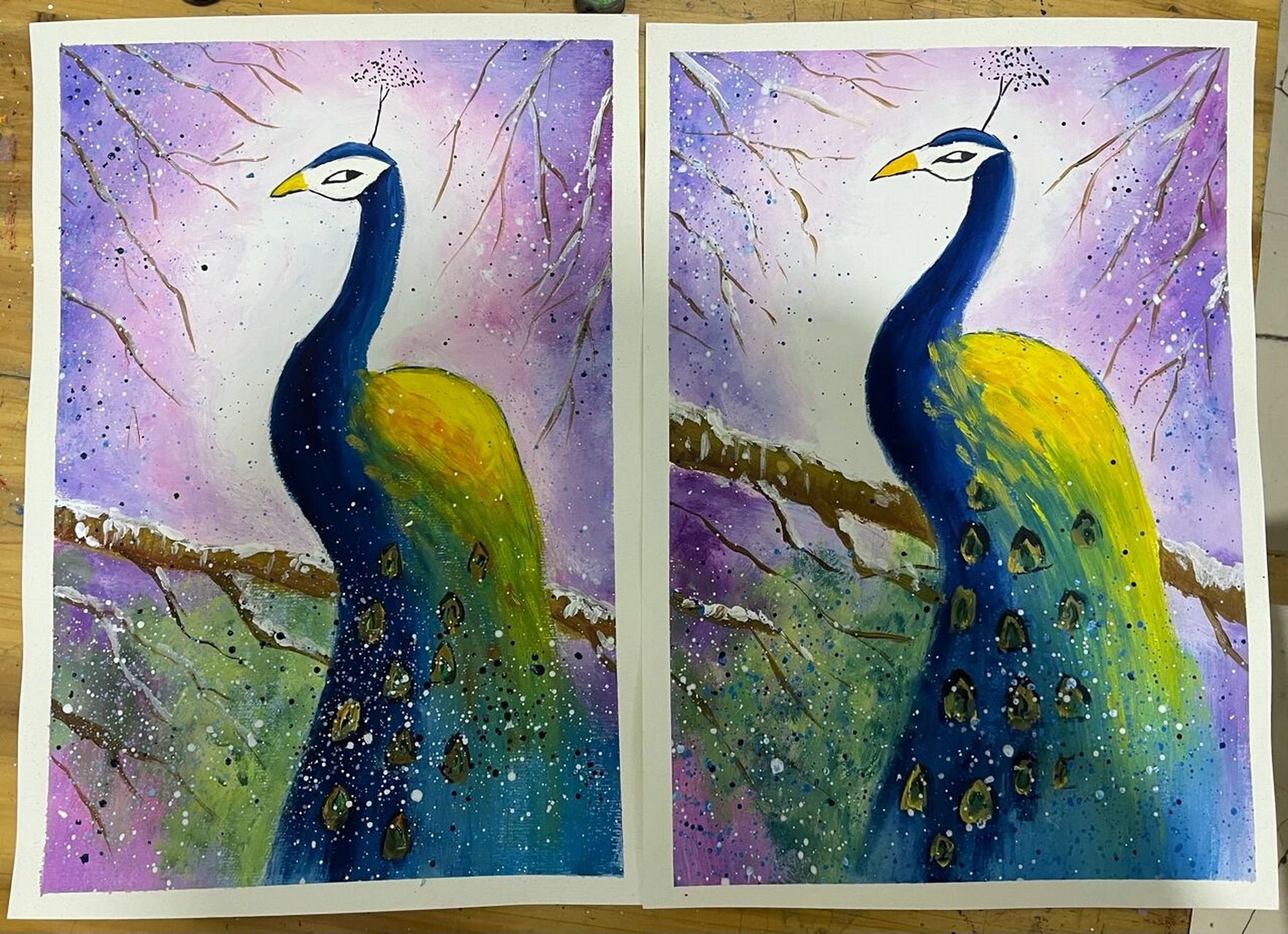 水粉画—-孔雀08 每周六都画两幅同样的画,还是有区别