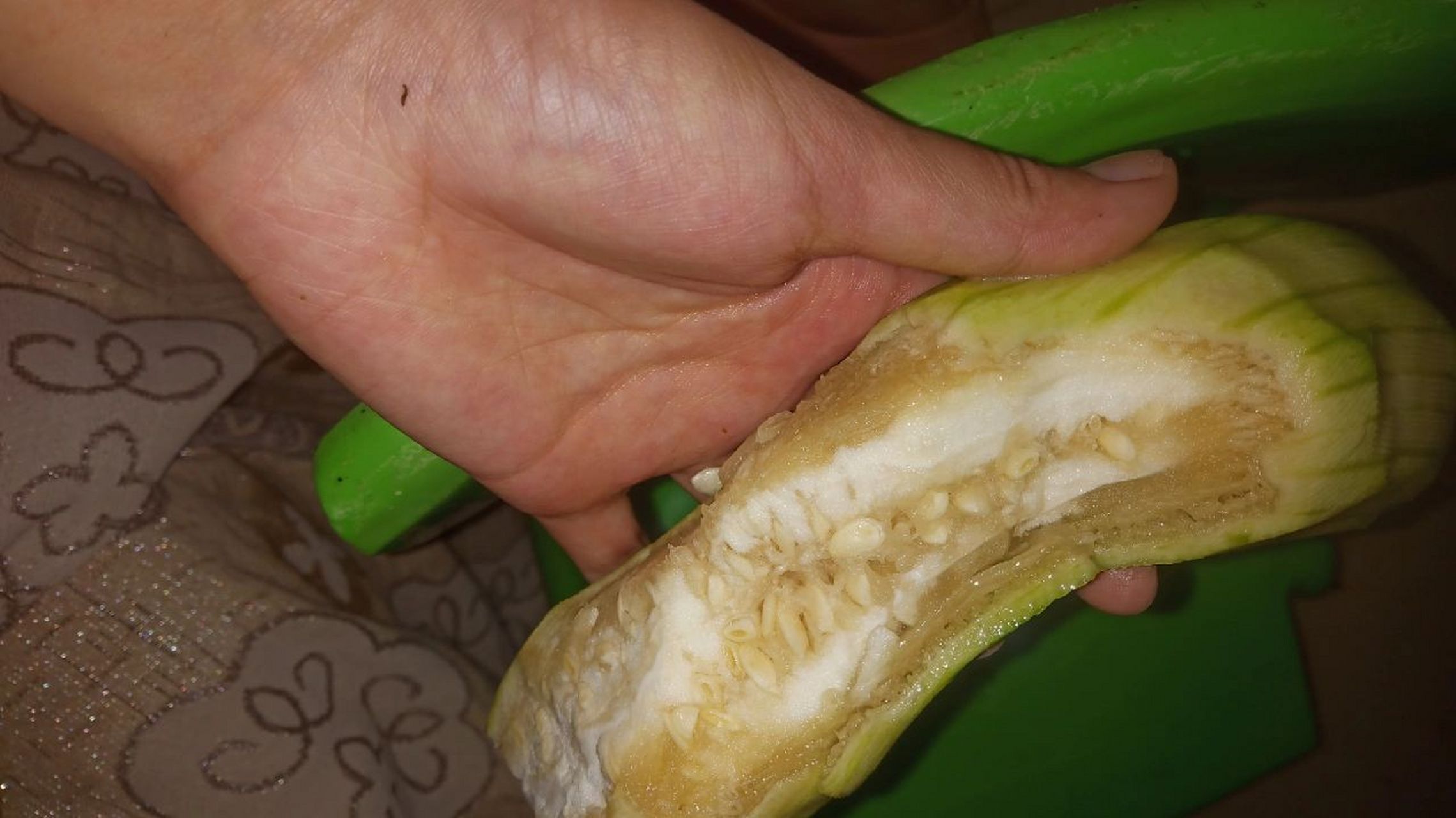 丝瓜这样是坏了吗 之前也没在意,今天晚上切开就是这样,是放冰箱冻坏