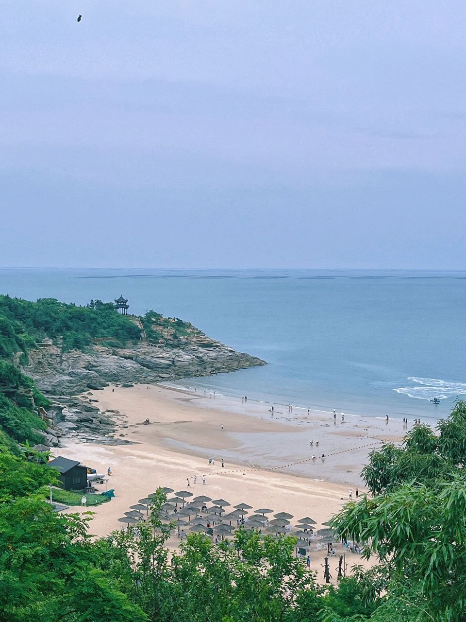 攻略(附全岛路线图)  连岛门票9950一个人,景区内小火车20一个人