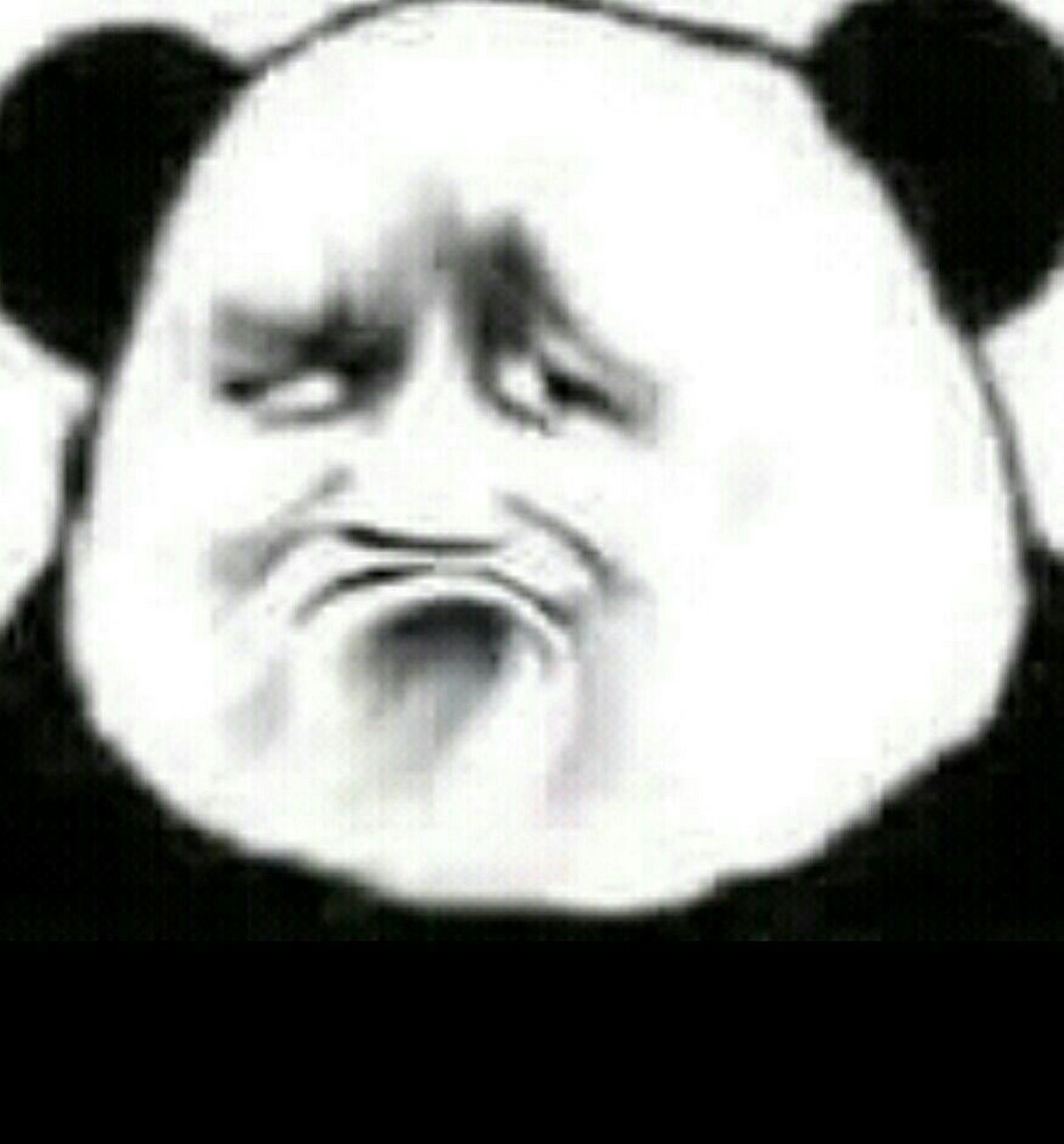 人脸熊猫表情包图片
