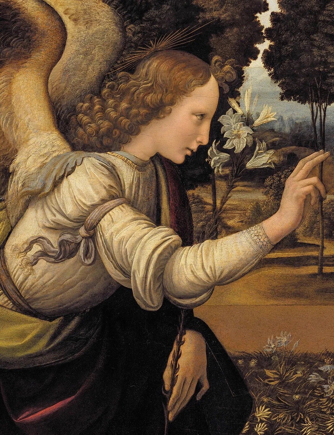 细看达芬奇《天使报喜