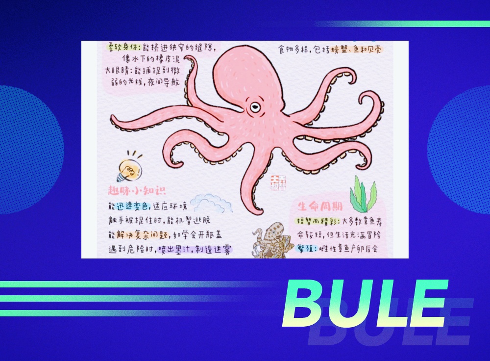 给小朋友的"一图百科":章鱼||探索海洋的奥秘  今天让我们一起来认识