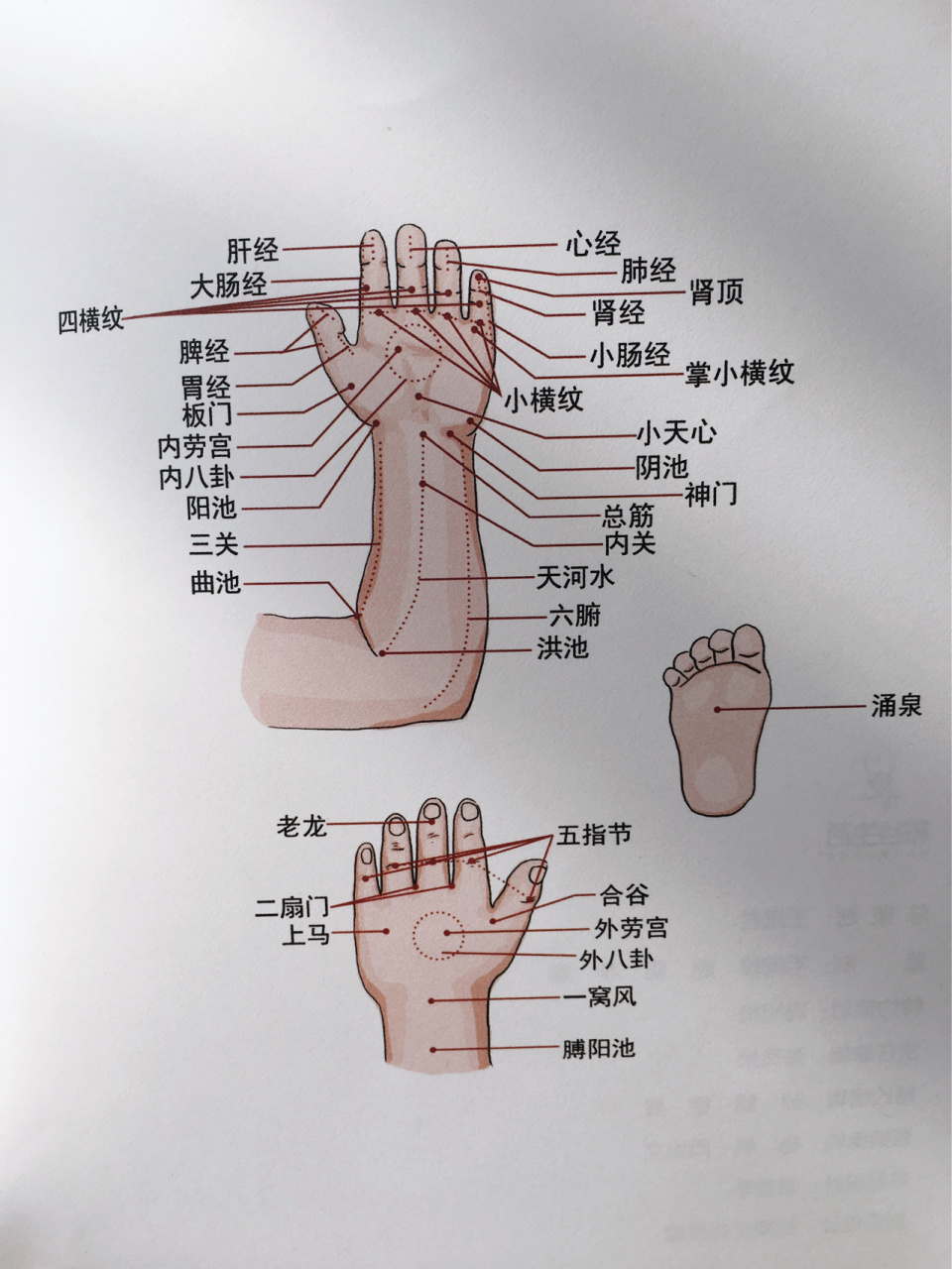 小儿推拿的准确位置图图片