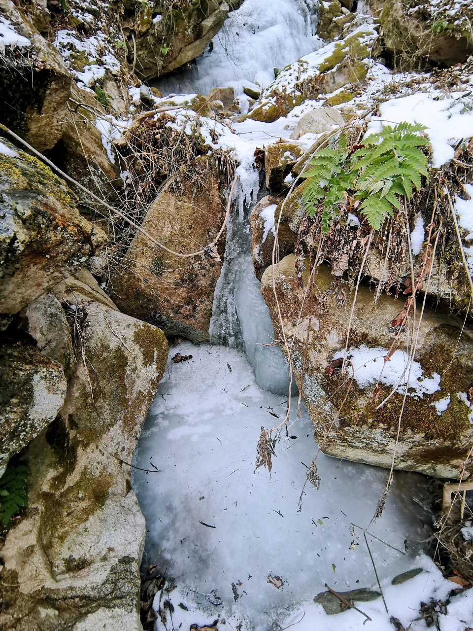 二郎山风景区攻略 导航到二郎山风景区,景区门票十块钱.