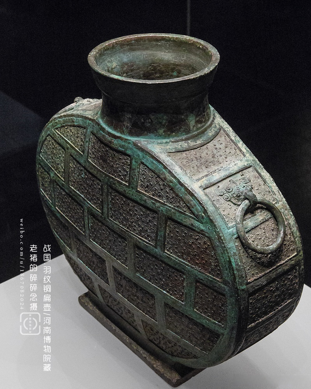 河南三门峡上村岭出土的这件羽纹扁壶,其造型独特