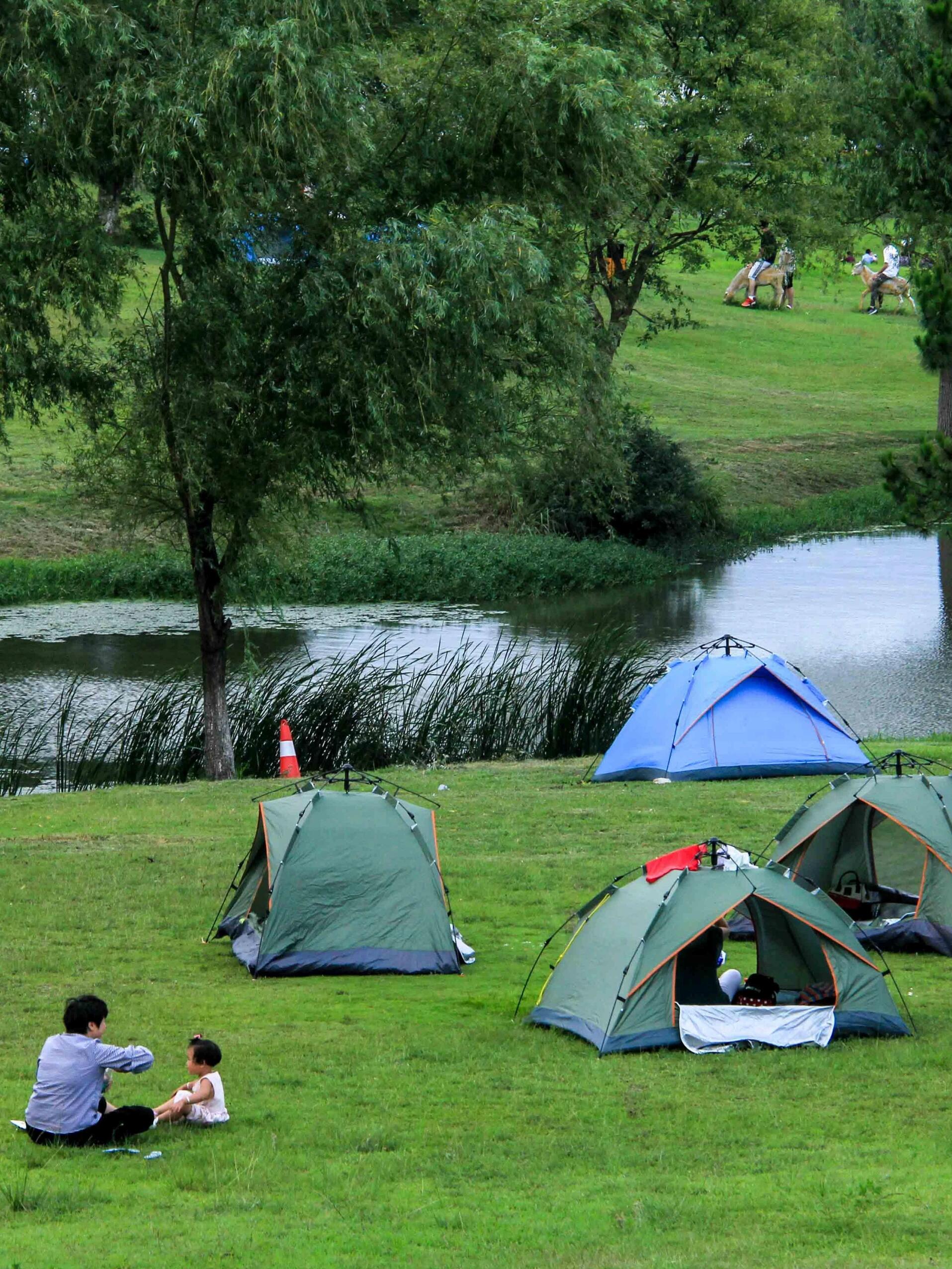 万亩草原露营 赏花 ,木兰草原假期 🌼