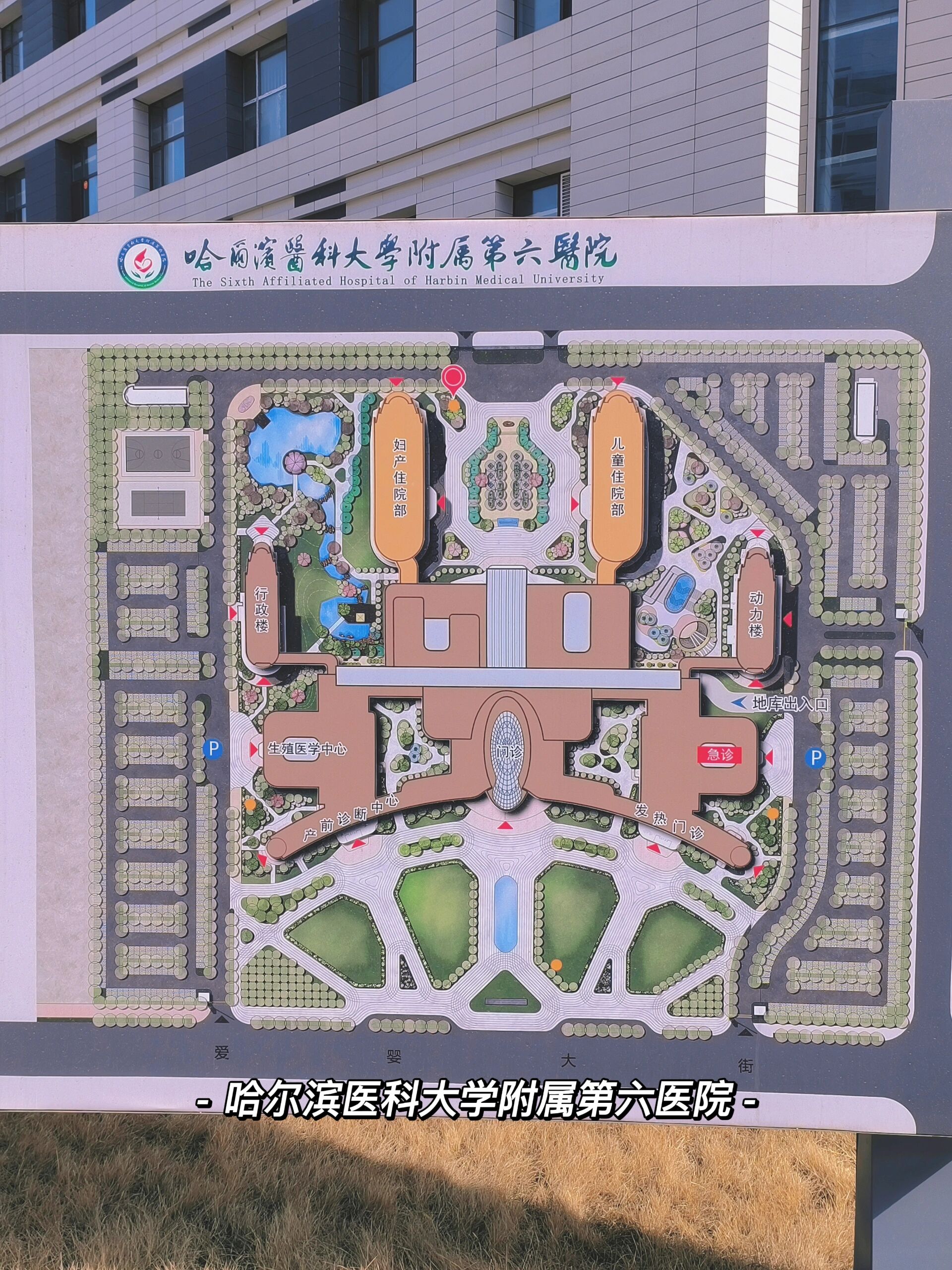 今日plog 哈尔滨医科大学附属第六医院,新建成的公立